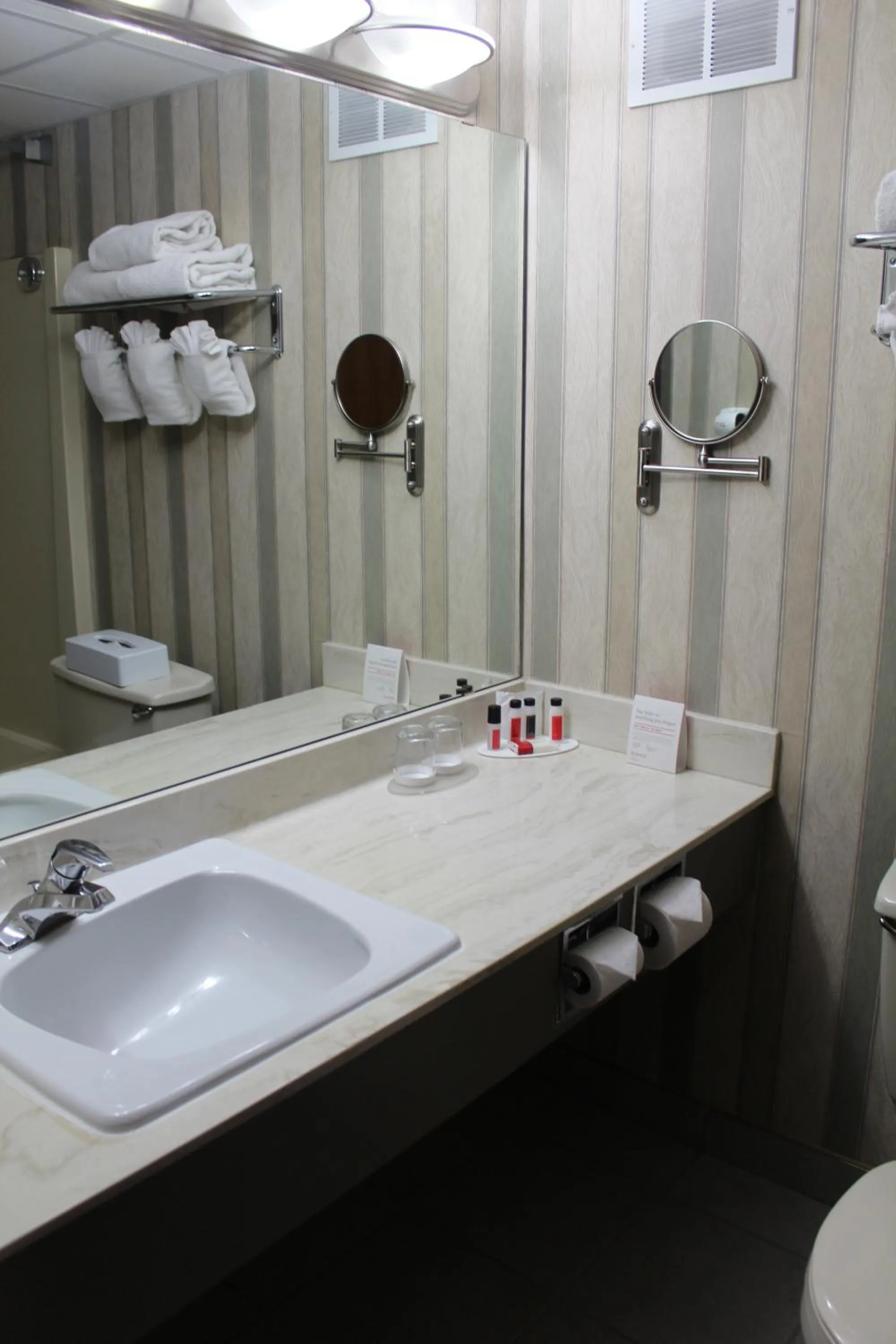Bathroom in Ramada Plaza by Wyndham Regina Downtown