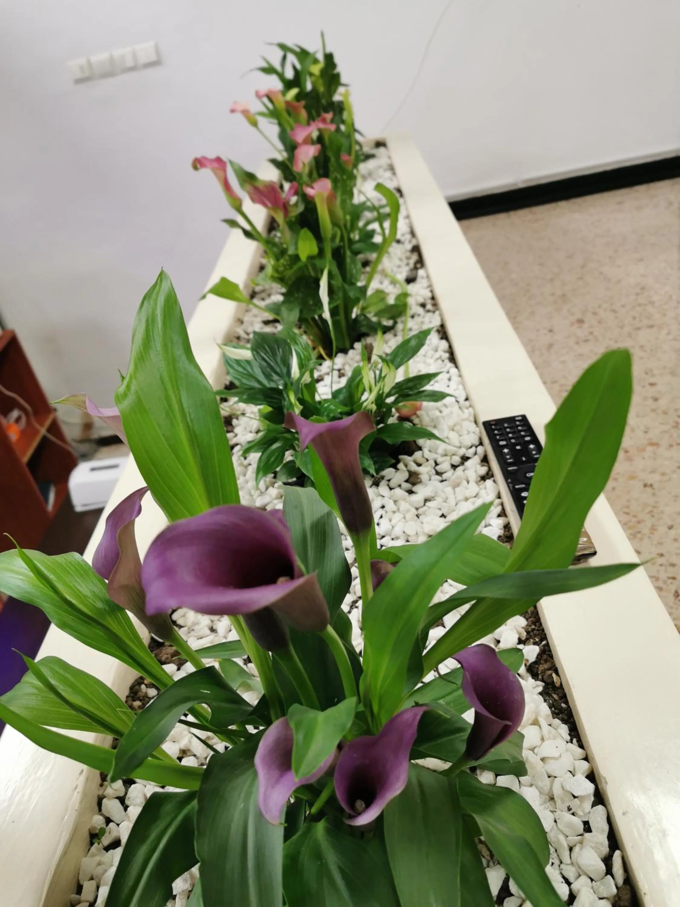 Property building in Hotel Tomis Neptun