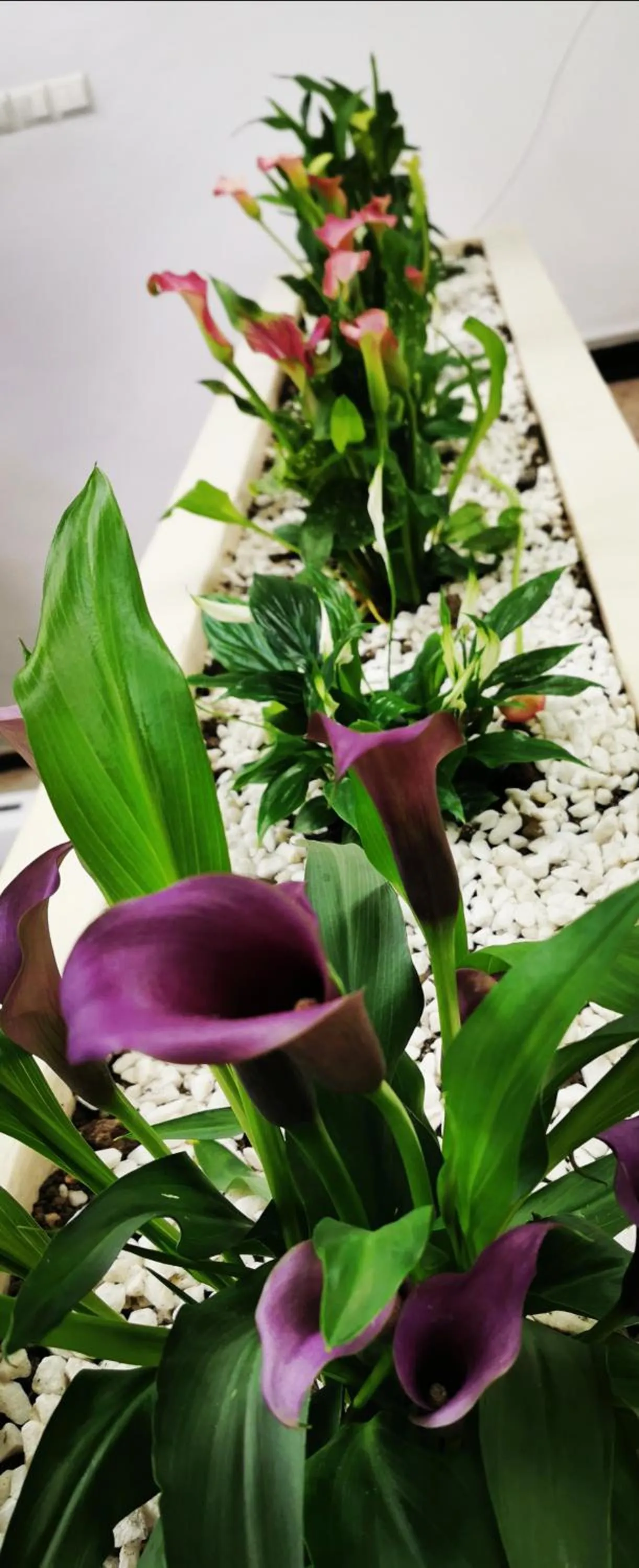 Property building in Hotel Tomis Neptun