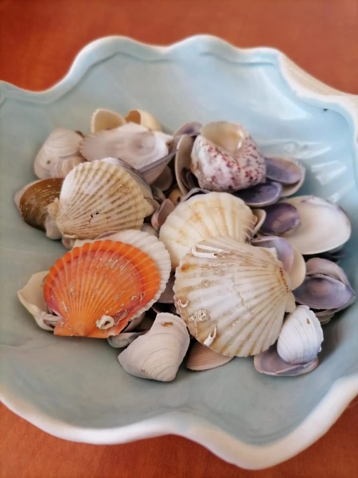 Property building in Hotel Tomis Neptun