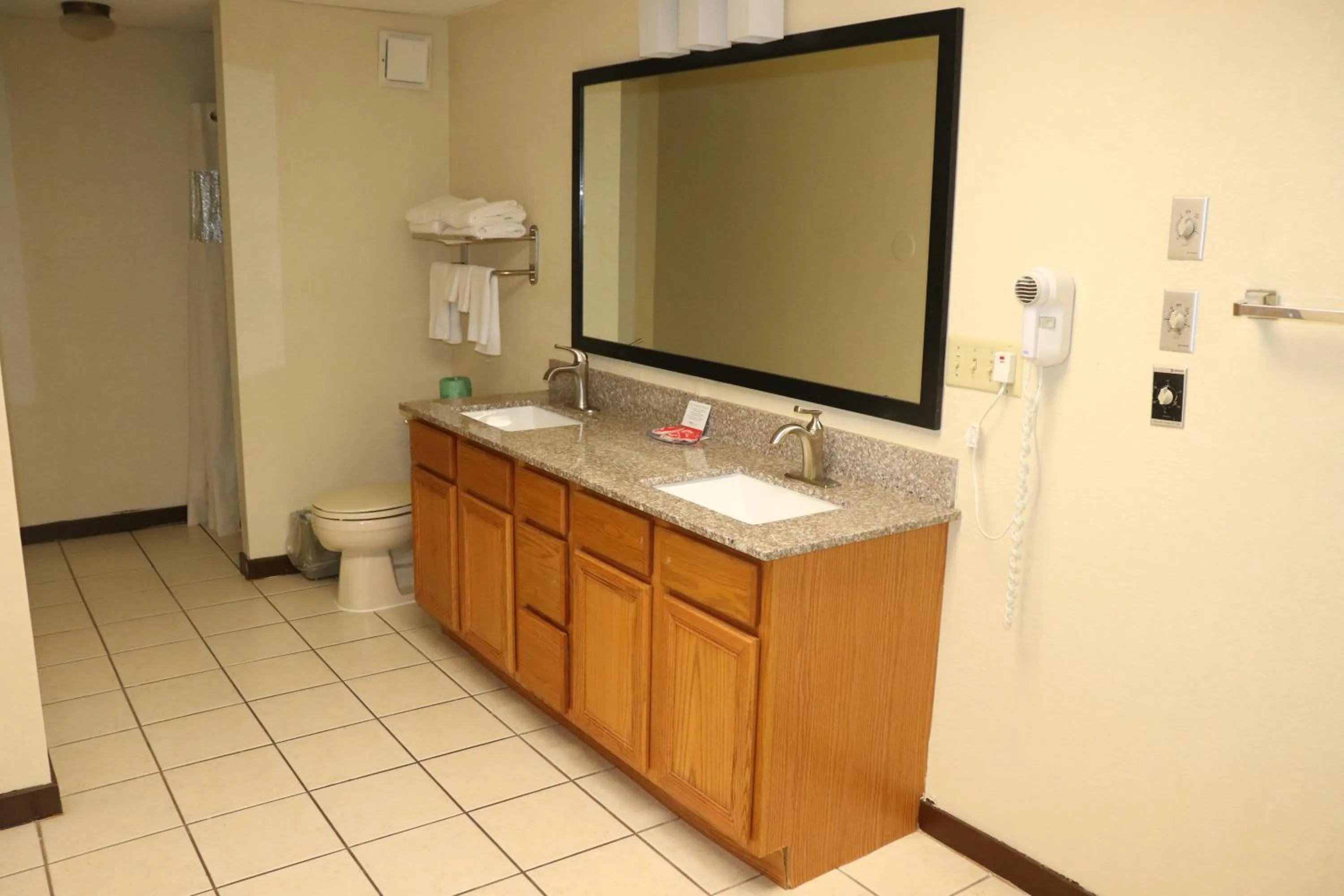 Bathroom in Econo Lodge Inn & Suites Wisconsin Dells