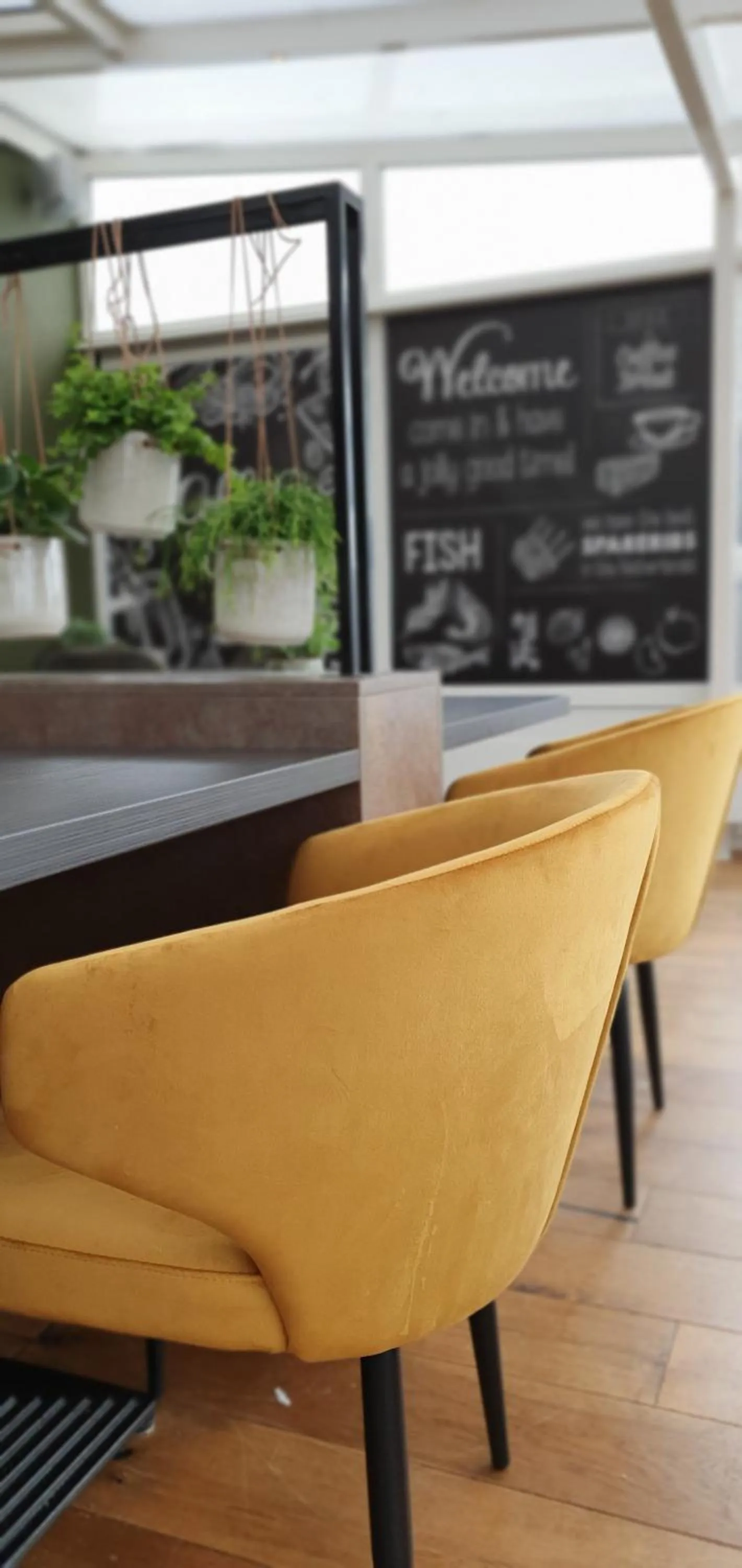 Restaurant/places to eat in Hotel de Pergola