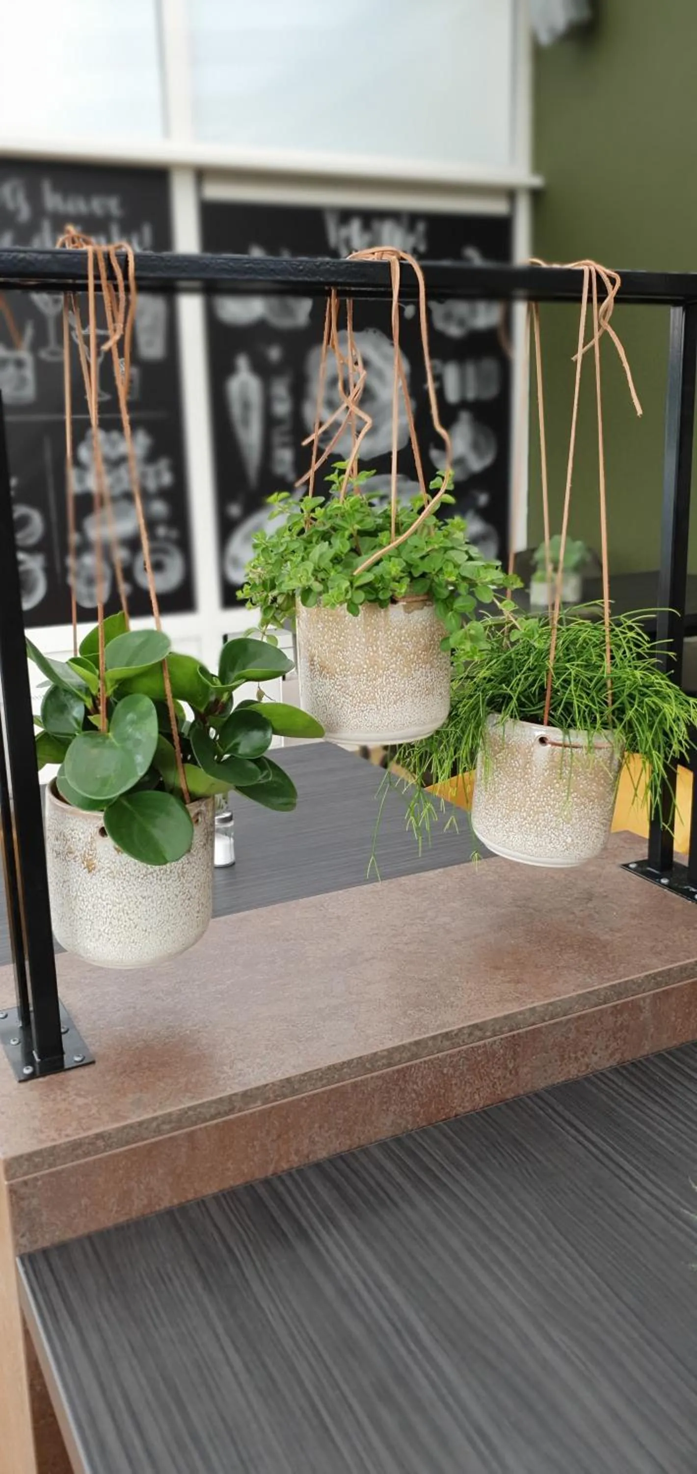 Restaurant/places to eat in Hotel de Pergola