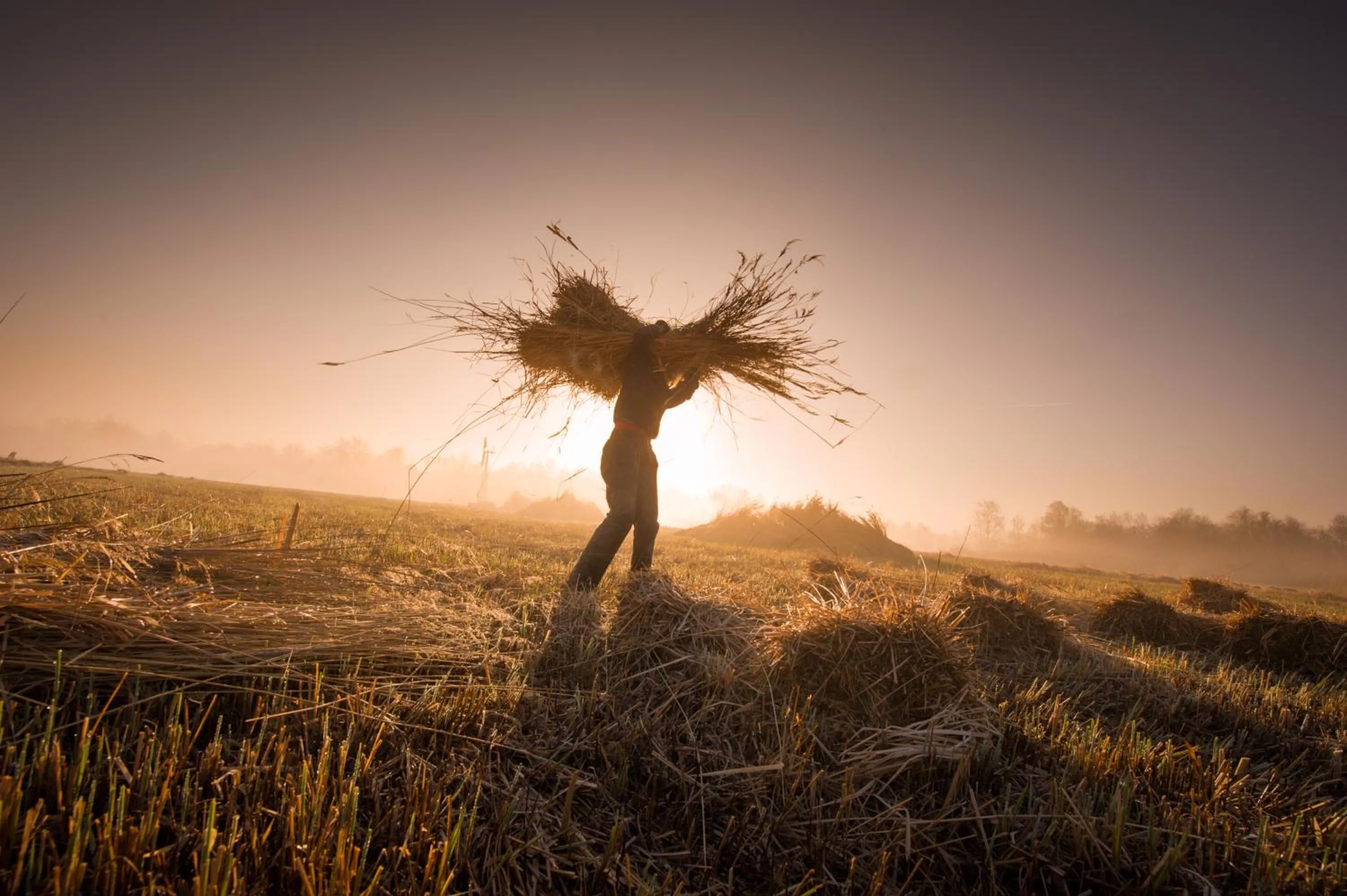 Other in Hotel de Pergola