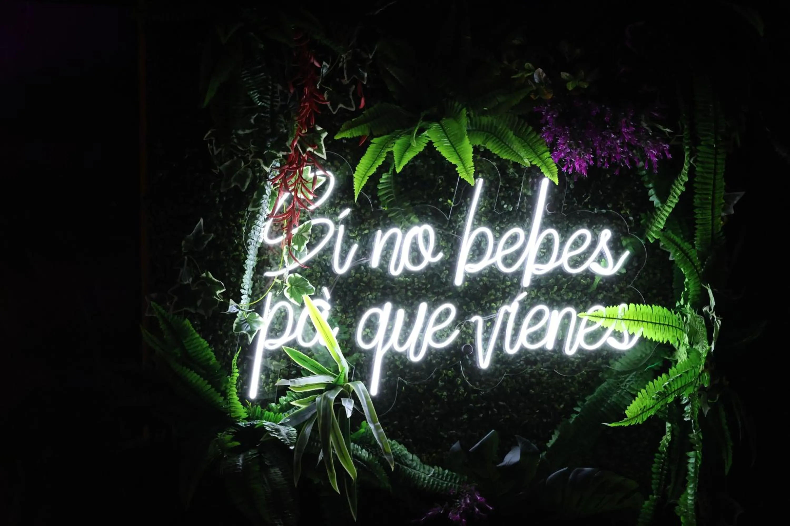 Restaurant/places to eat in Hotel Partenon Beach