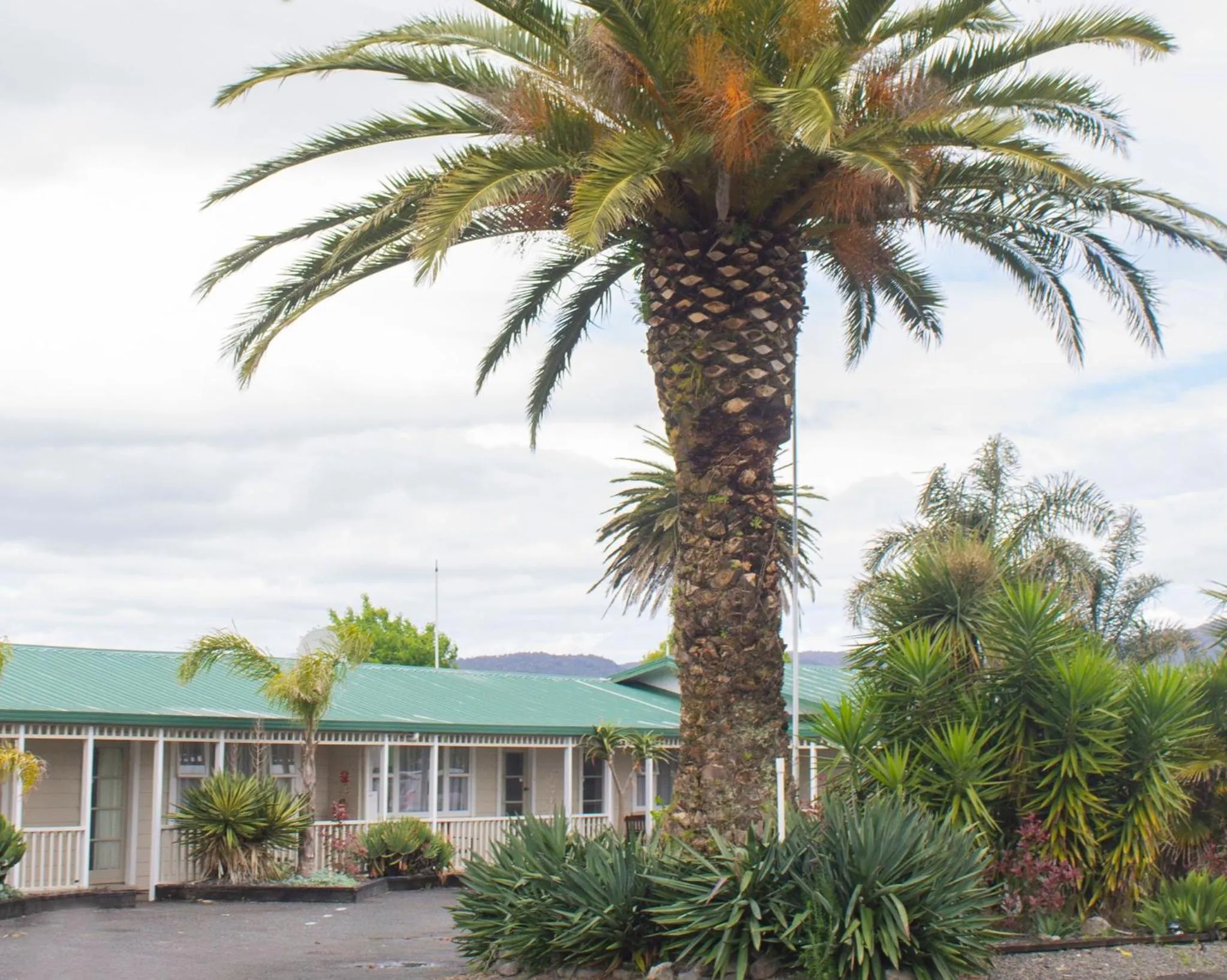 Garden in Palm Motel Waihi