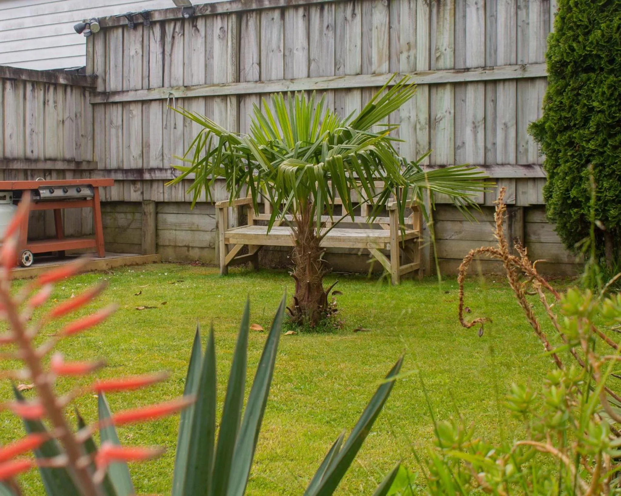 BBQ facilities in Palm Motel Waihi