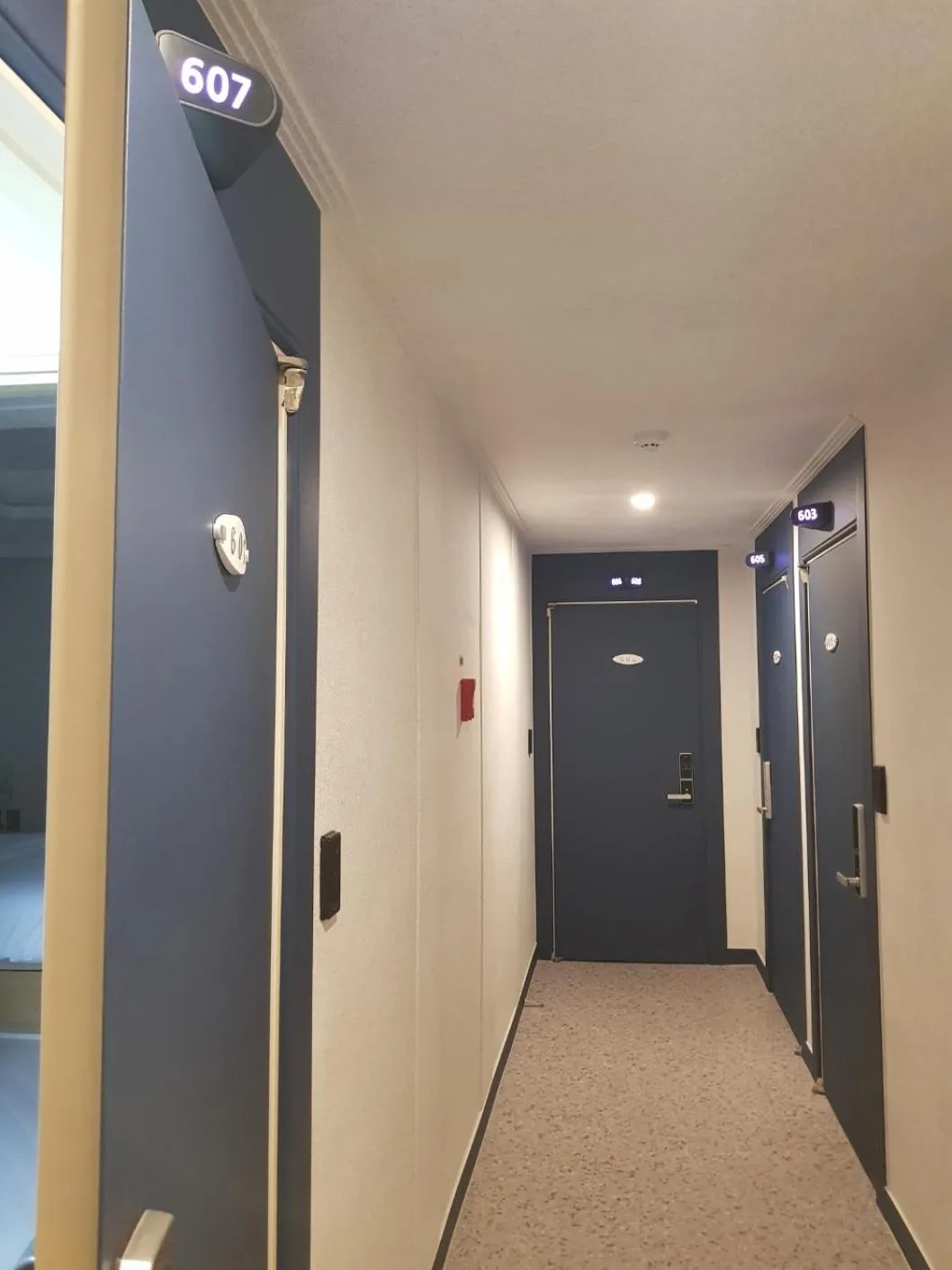 Photo of the whole room in Number 25 Hotel