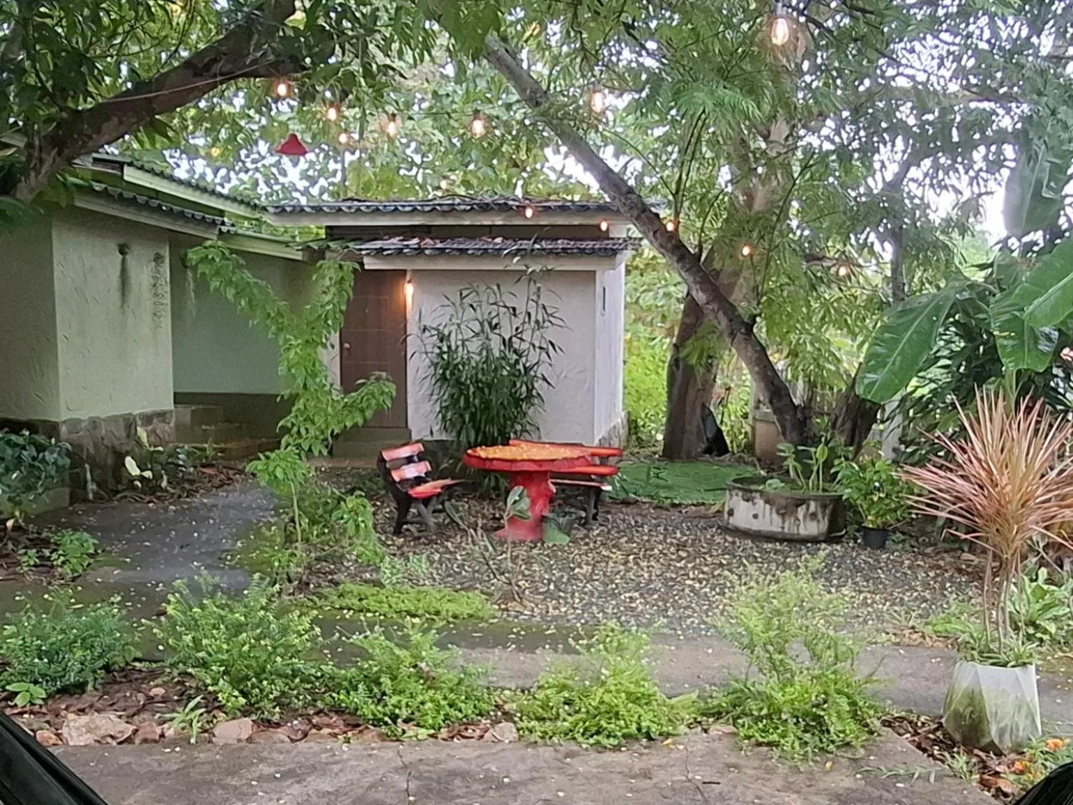 Garden in Oasis Pai Resort