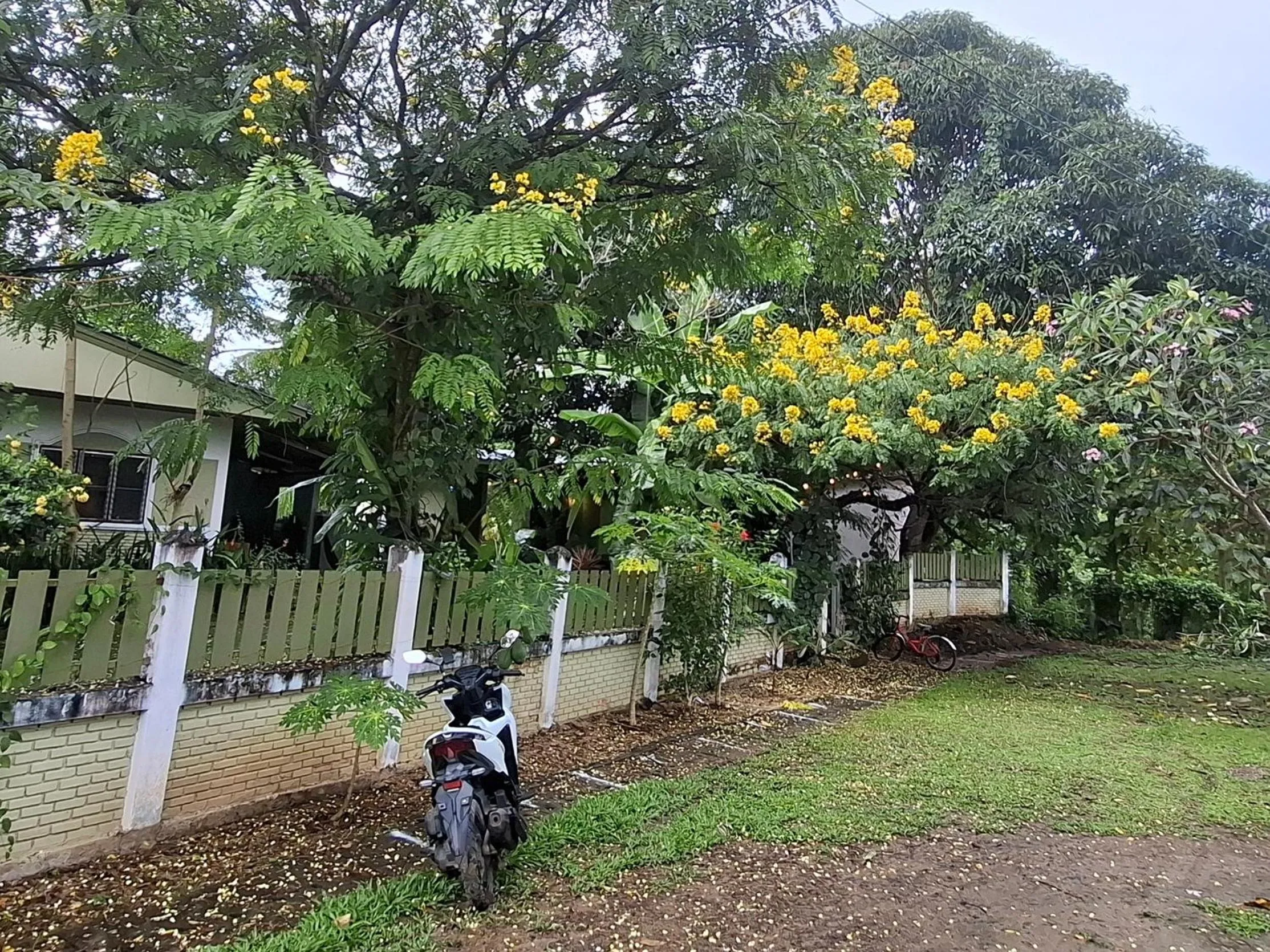Parking in Oasis Pai Resort