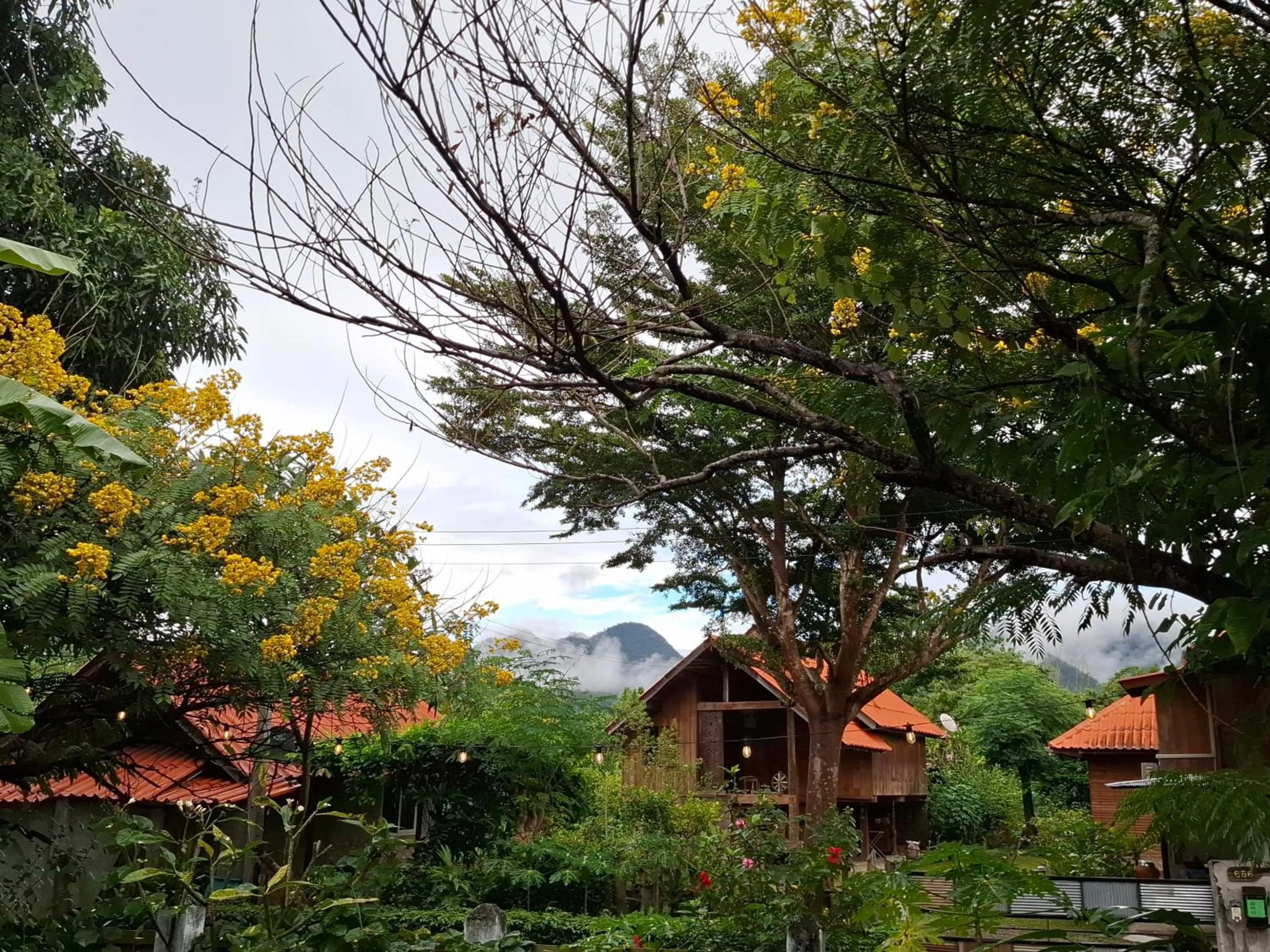 Garden in Oasis Pai Resort