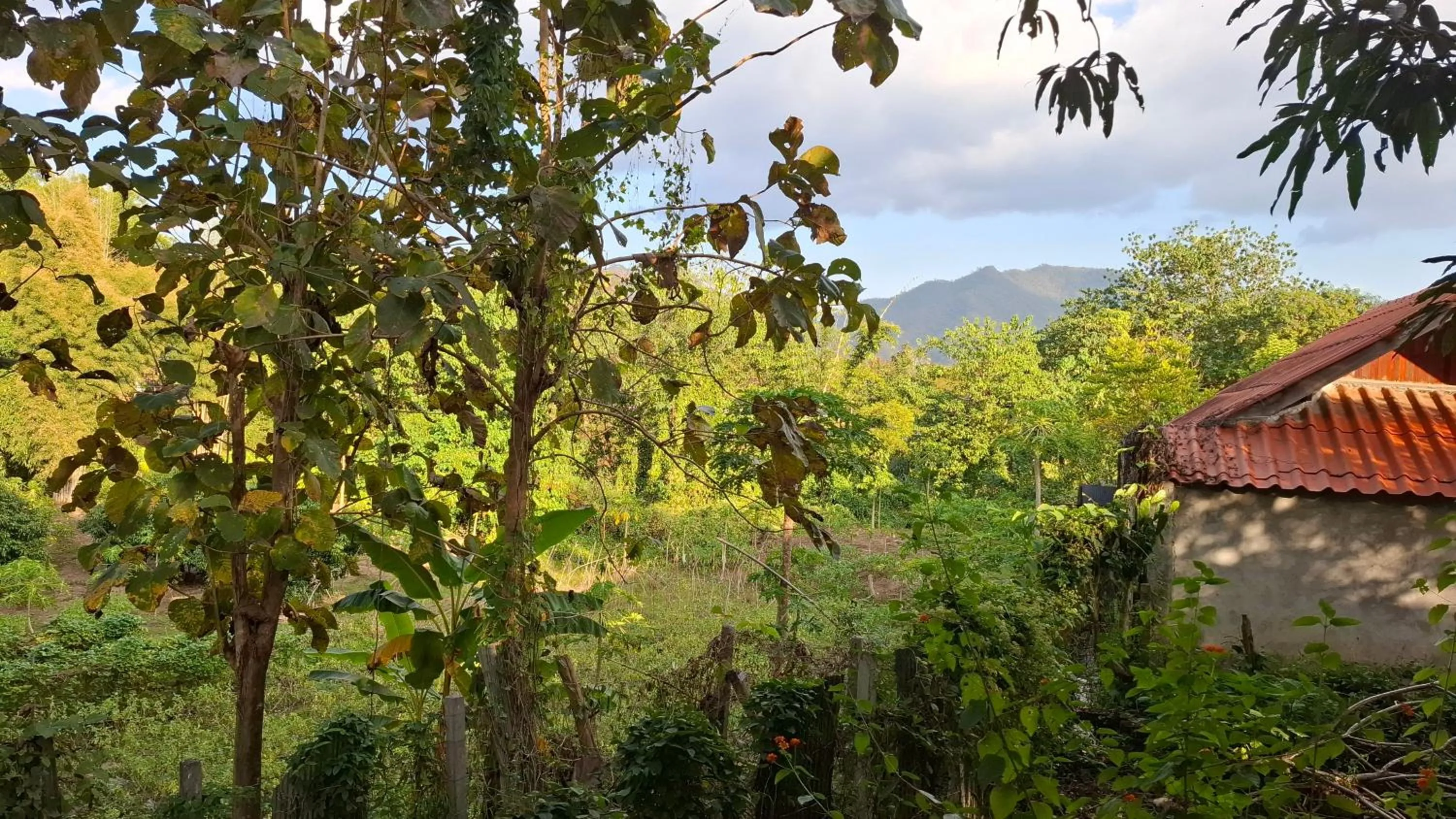 Mountain view in Oasis Pai Resort