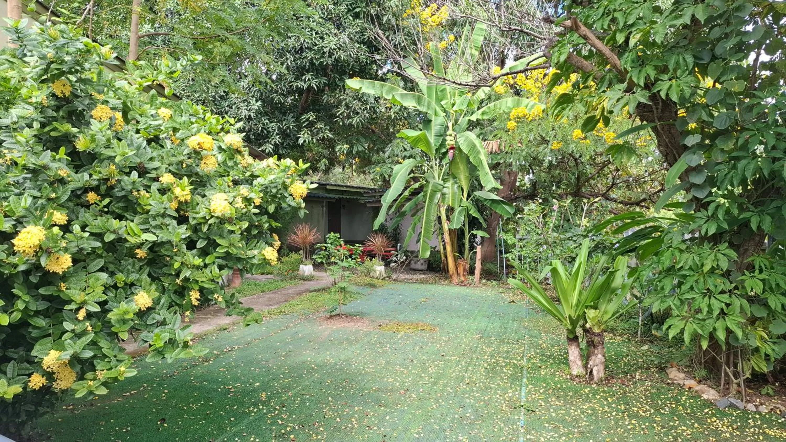 Garden in Oasis Pai Resort