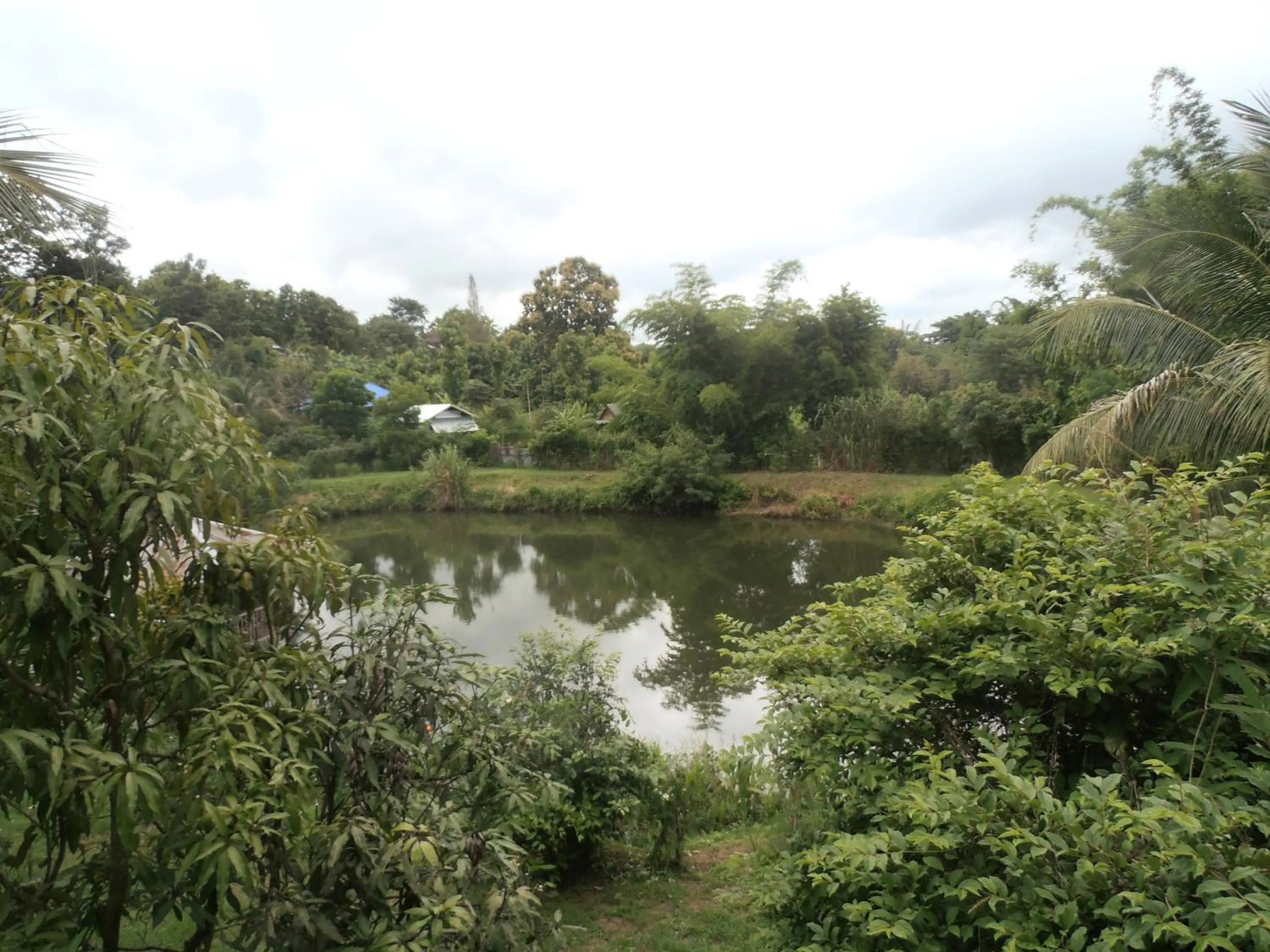 Lake view in Oasis Pai Resort