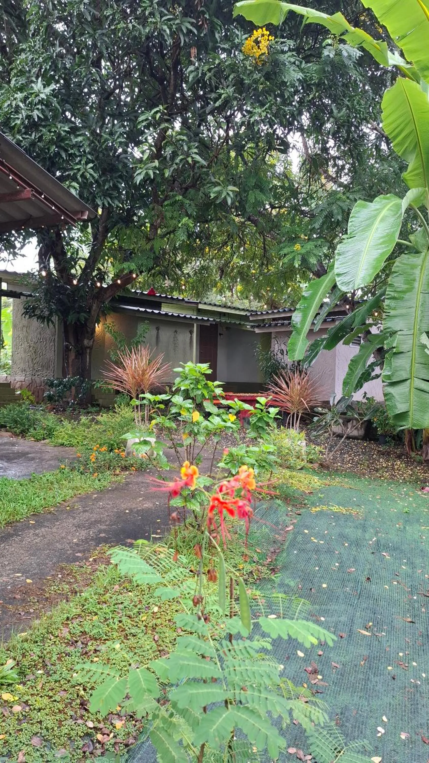 Garden in Oasis Pai Resort