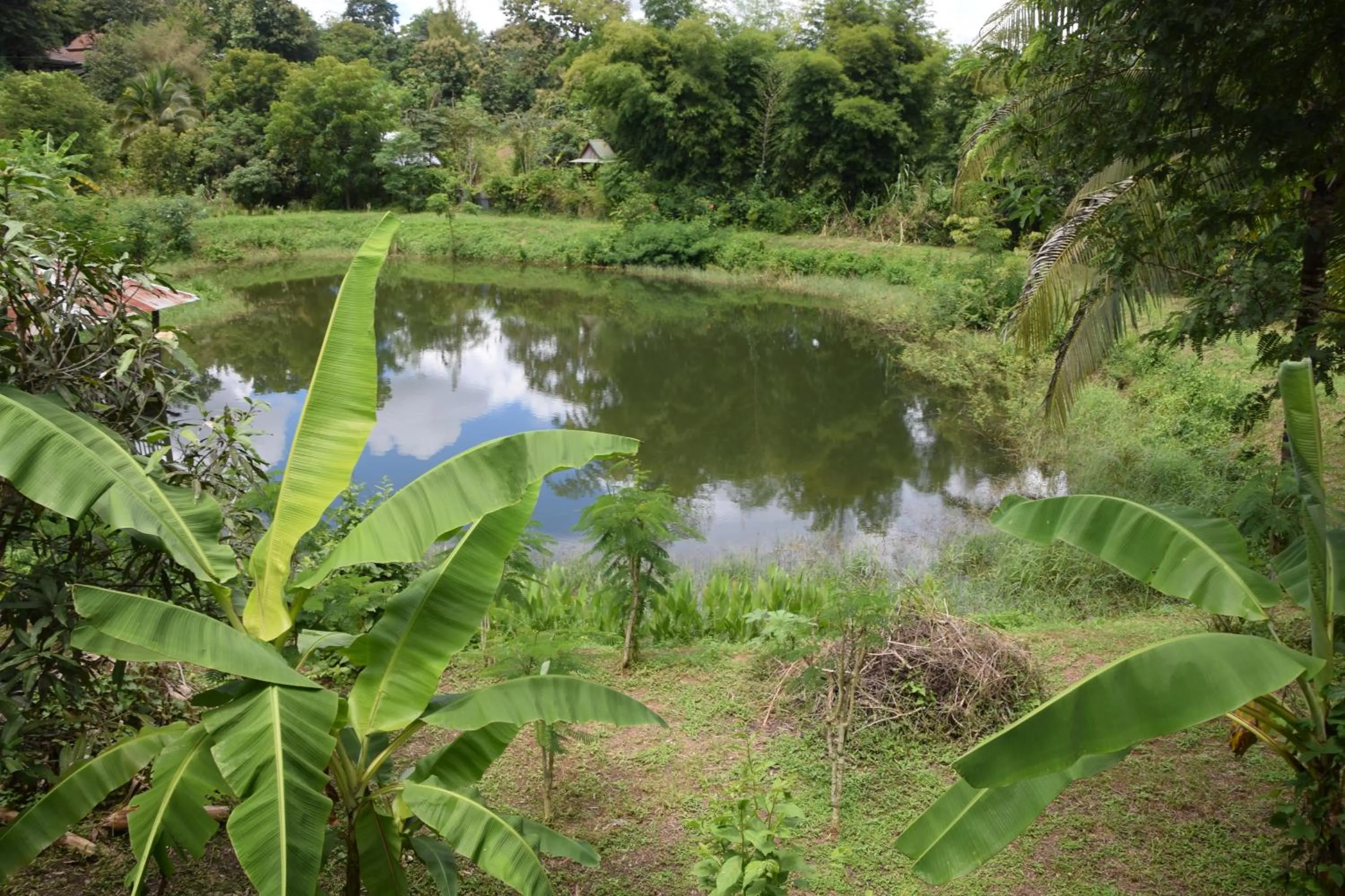 Garden in Oasis Pai Resort