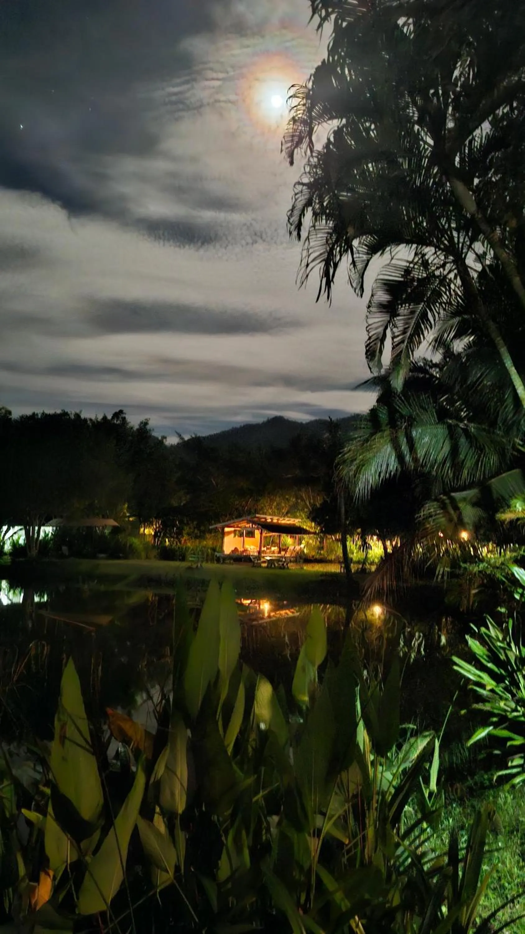 Night in Oasis Pai Resort