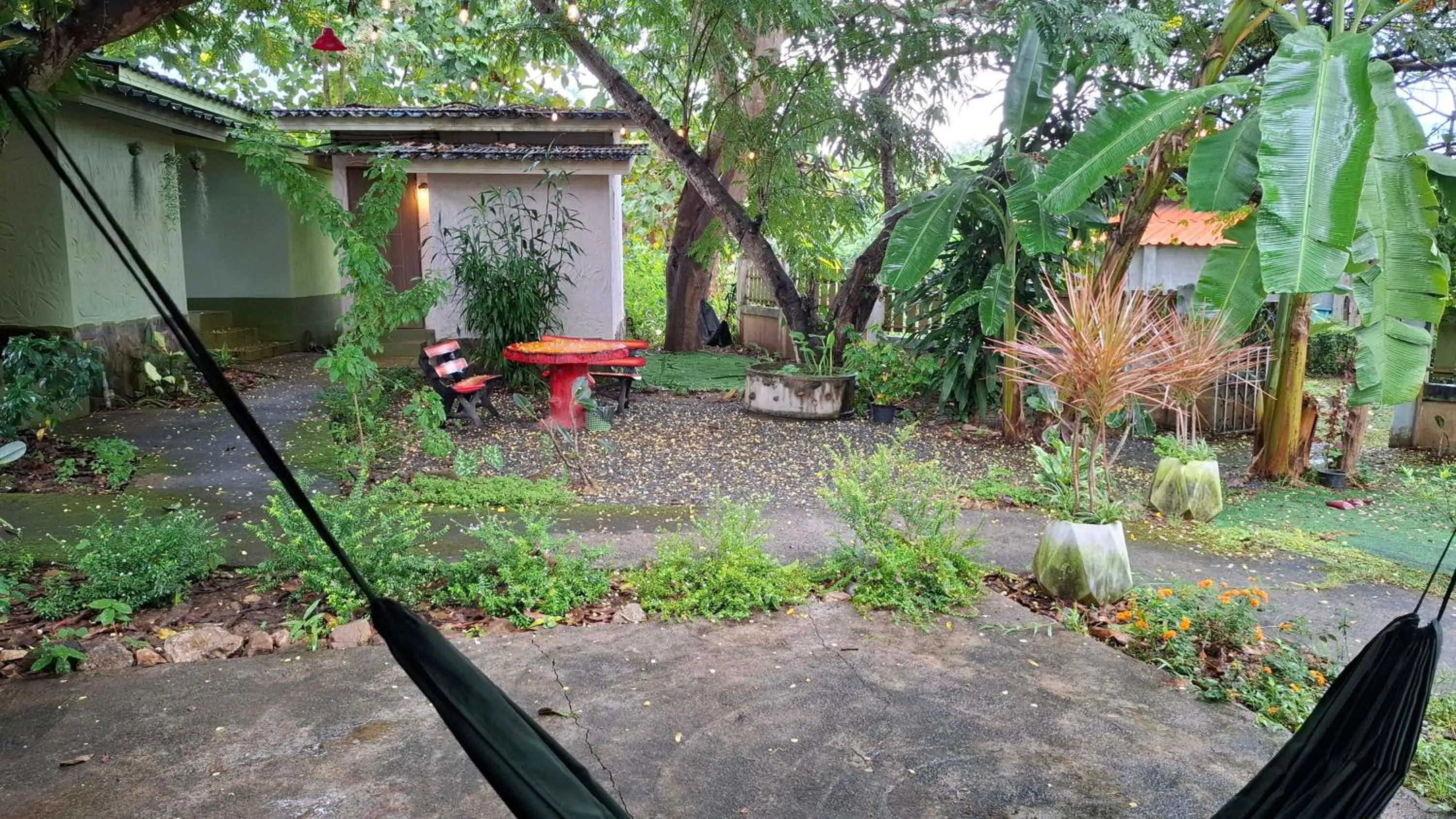 Garden in Oasis Pai Resort