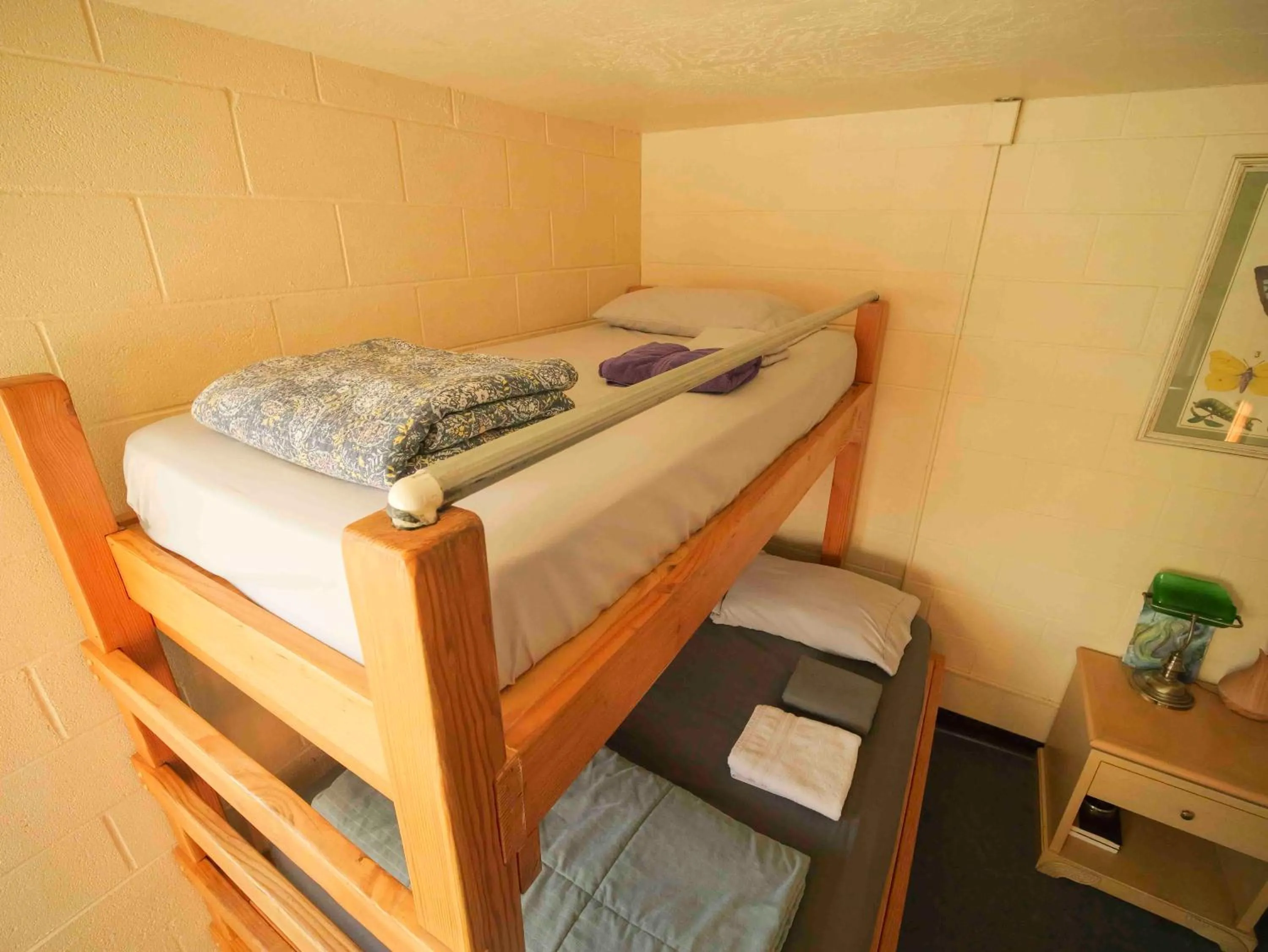 Bed in Ashland Commons Hostel