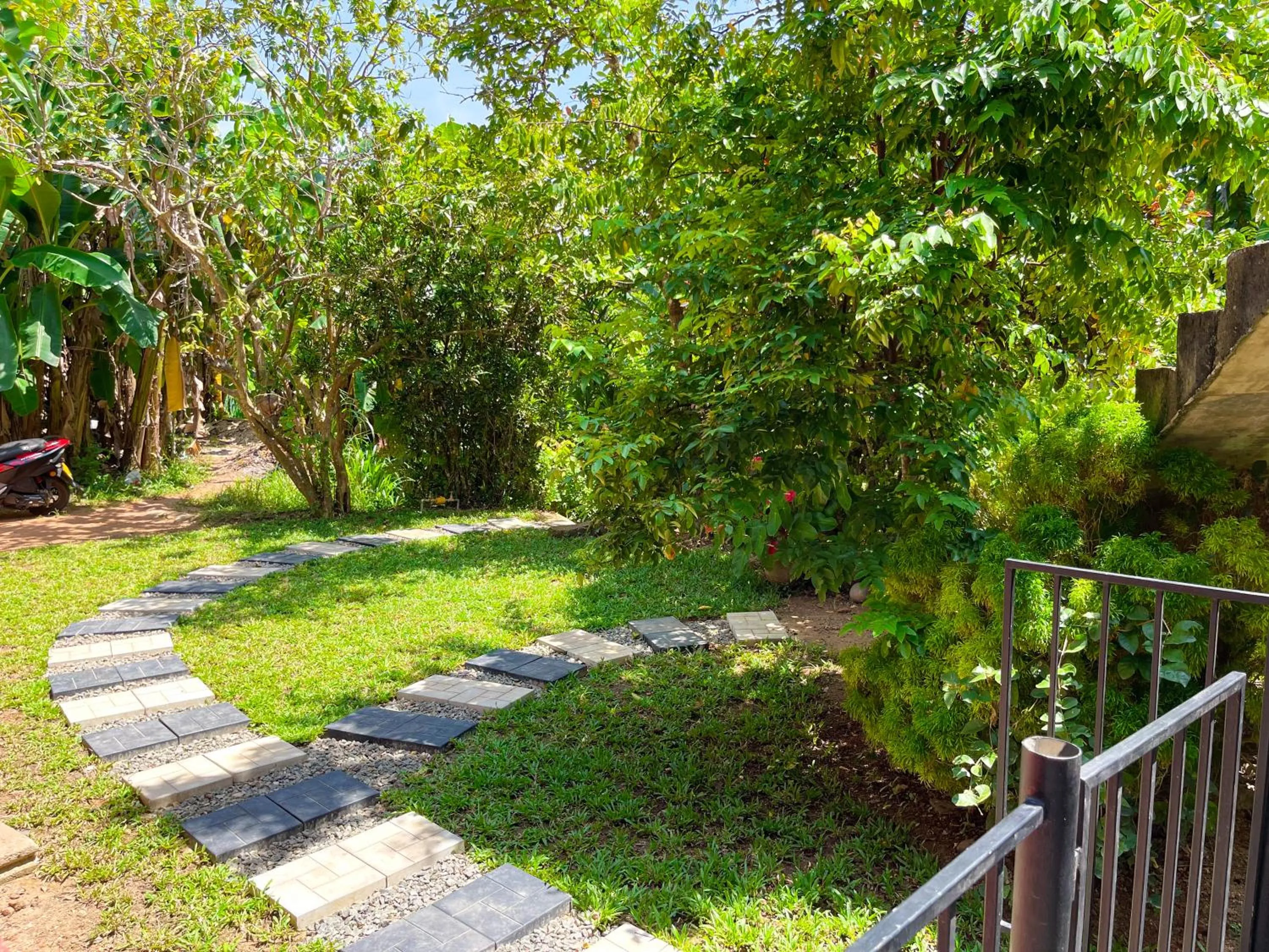 Natural landscape in LaRoy Mirissa