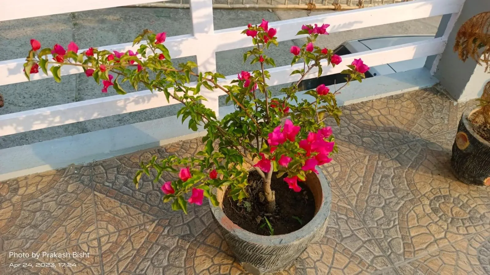 Shivalik River Retreat