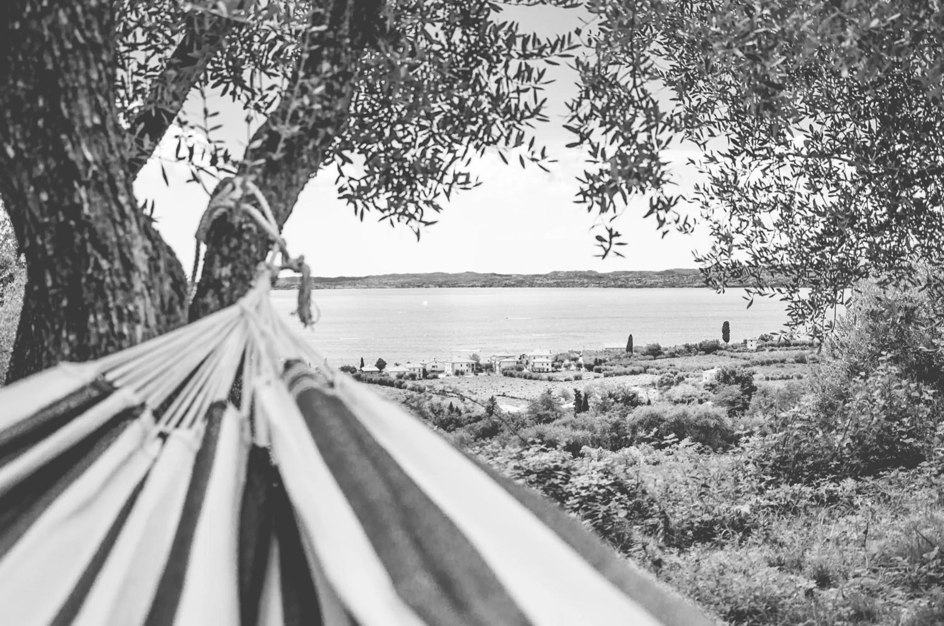 Garden in Prati Palai