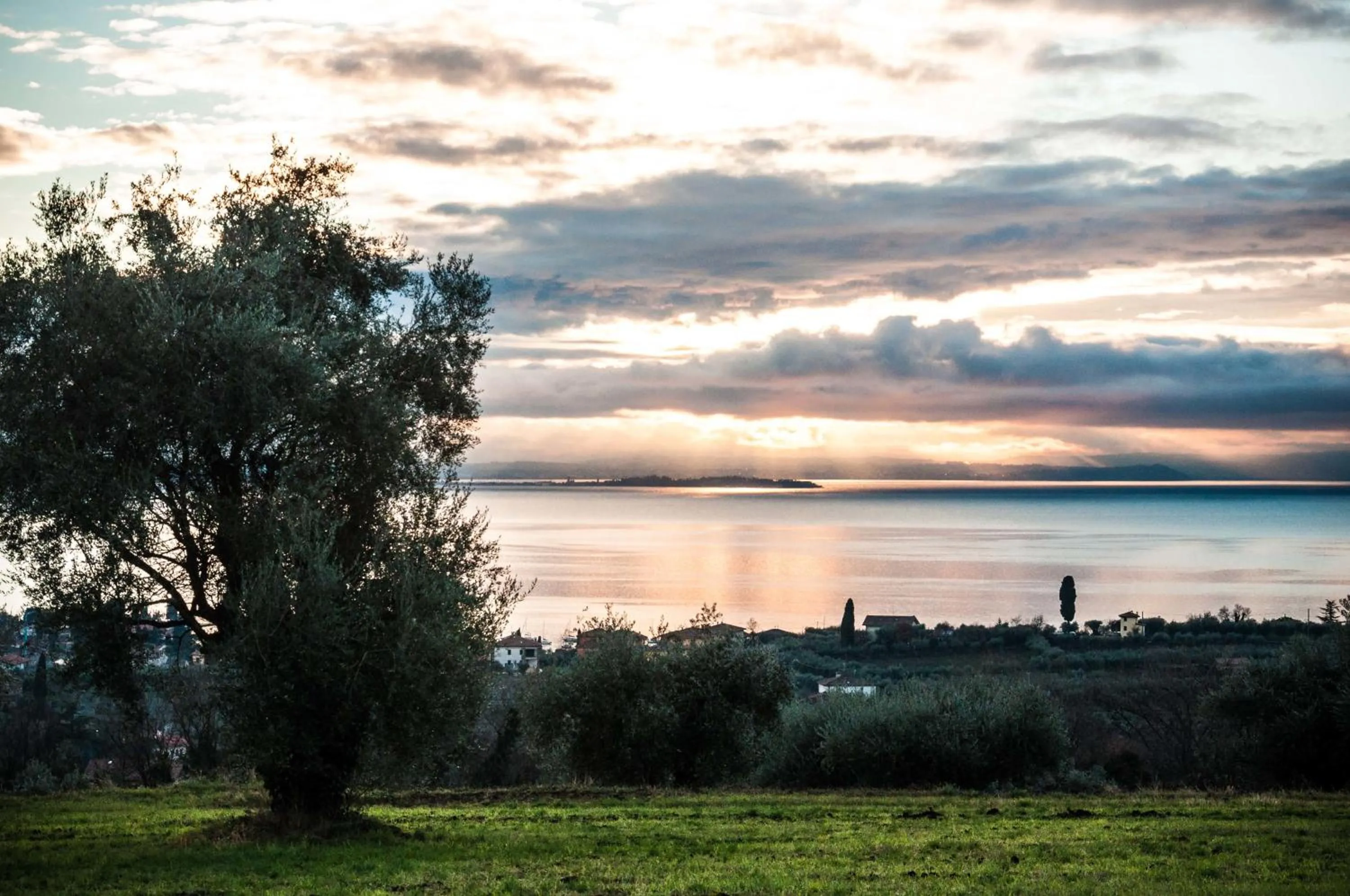 Garden in Prati Palai