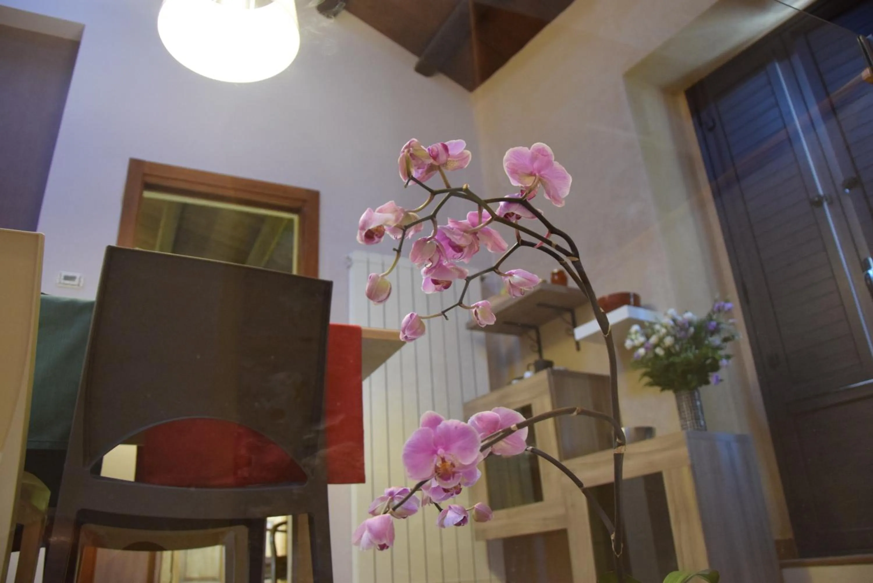 Decorative detail in Antichi Quartieri