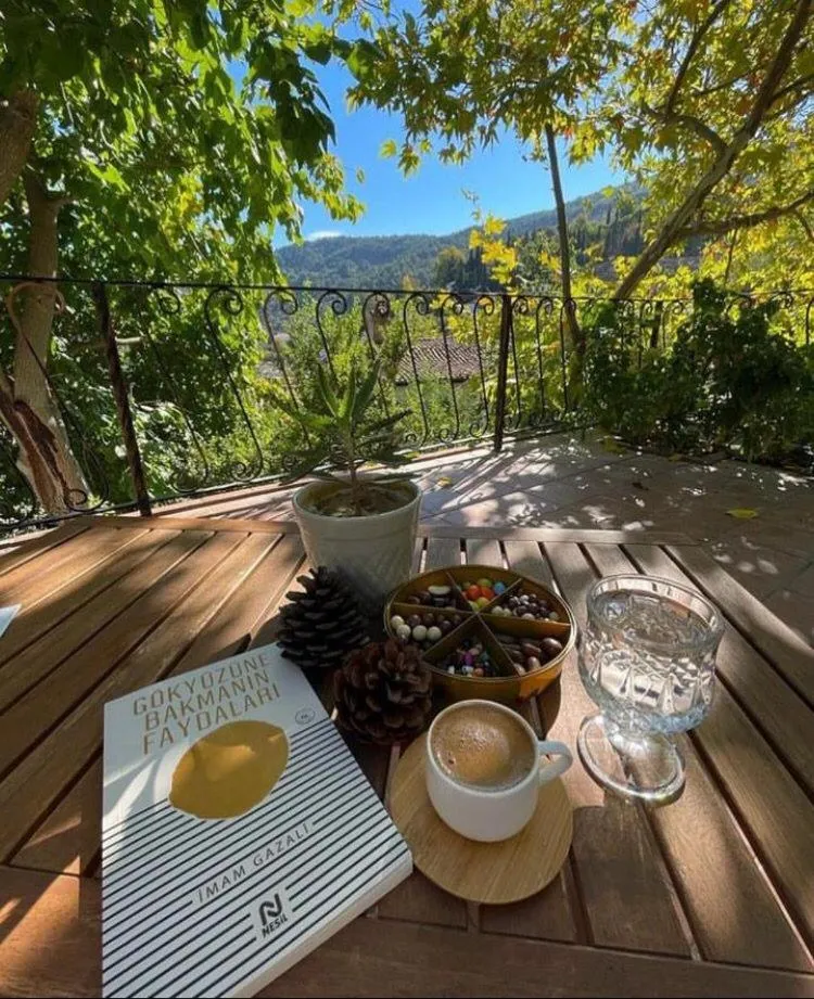 Patio in Adissa Butik Otel