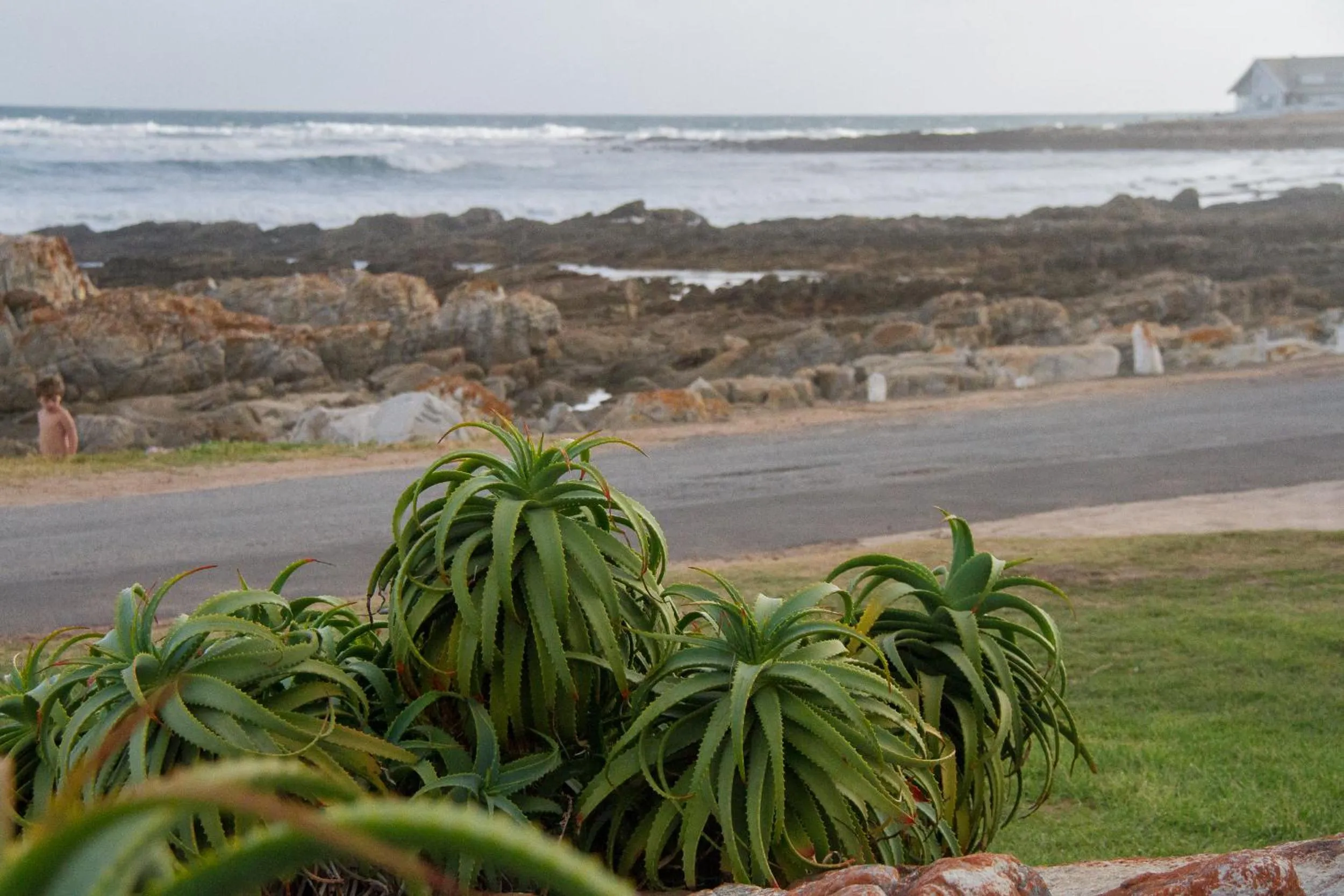 Sea view in Little Rock Guesthouse