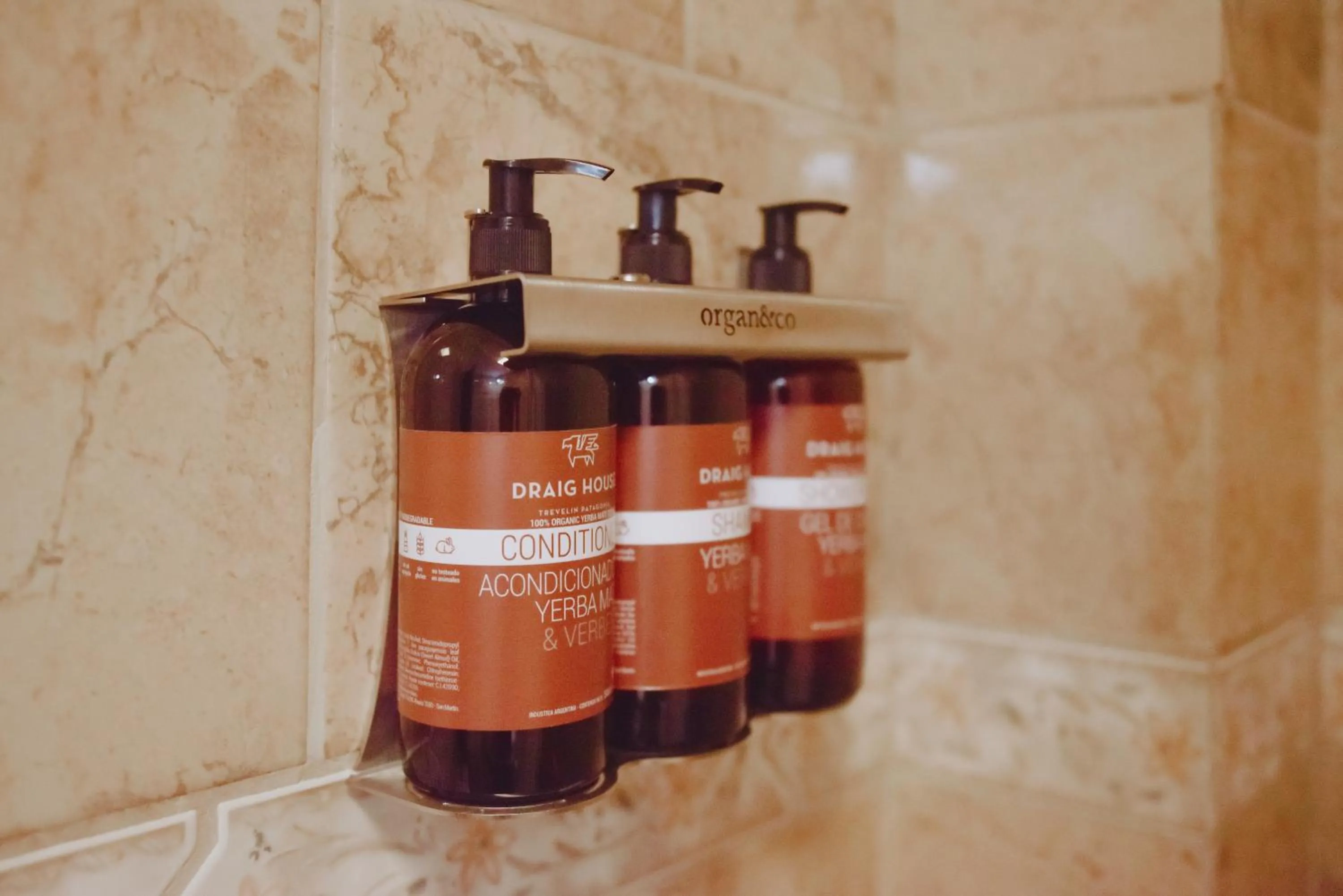 Bathroom in Draig House