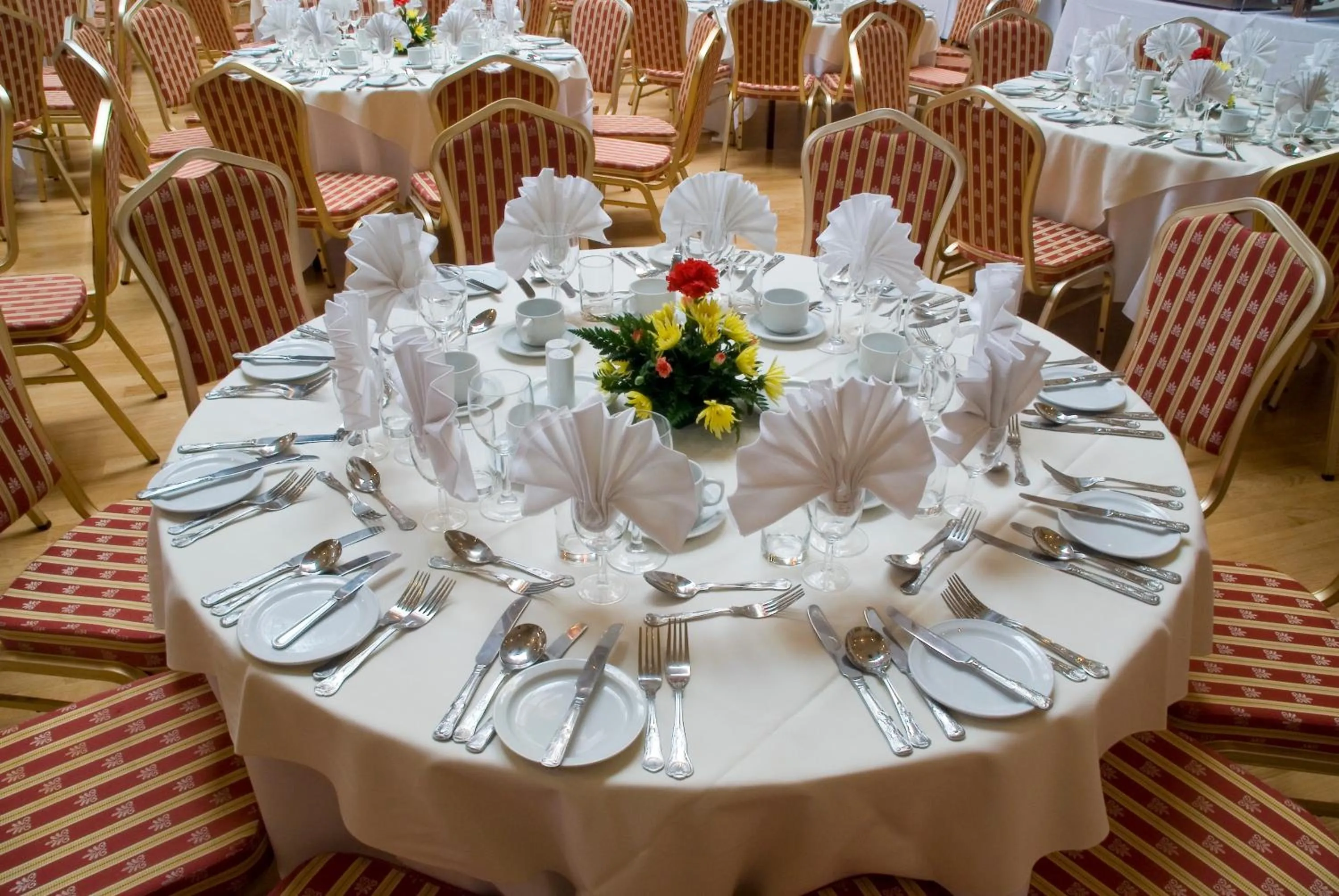 Banquet/Function facilities in Prince Of Wales Hotel