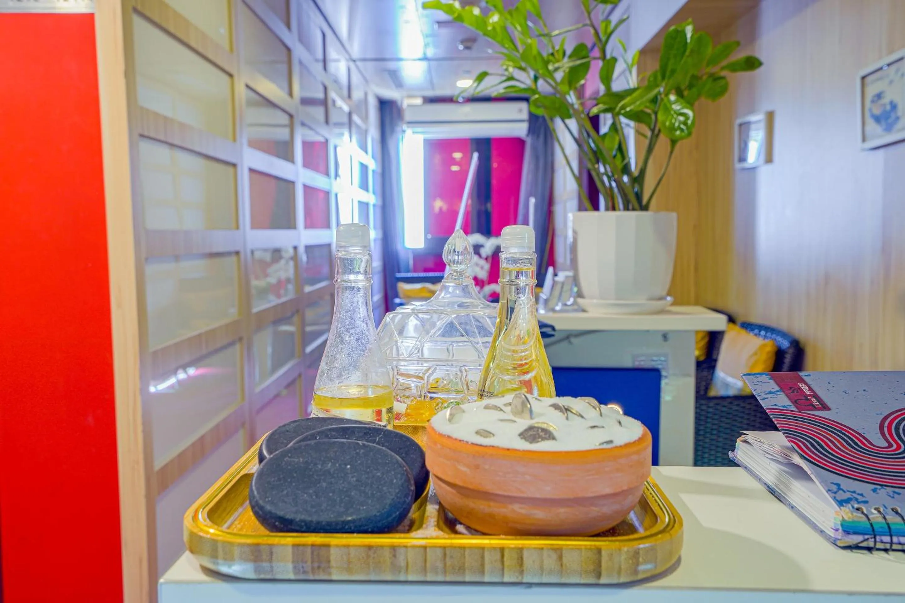 Area and facilities in Palette Royal Reflections Hotel and Spa Dubai