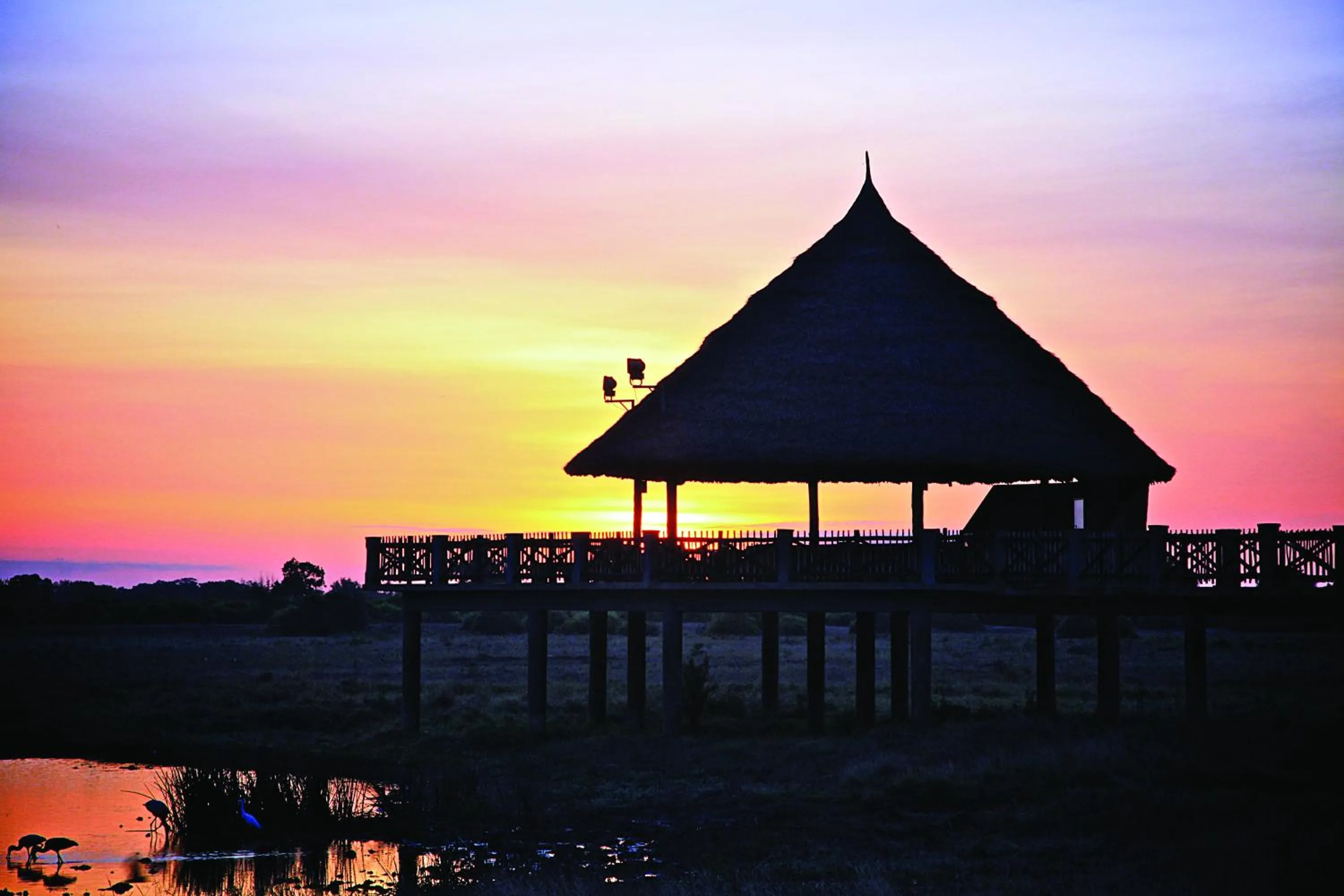 Lounge or bar, Sunrise/Sunset in Voi Wildlife Lodge