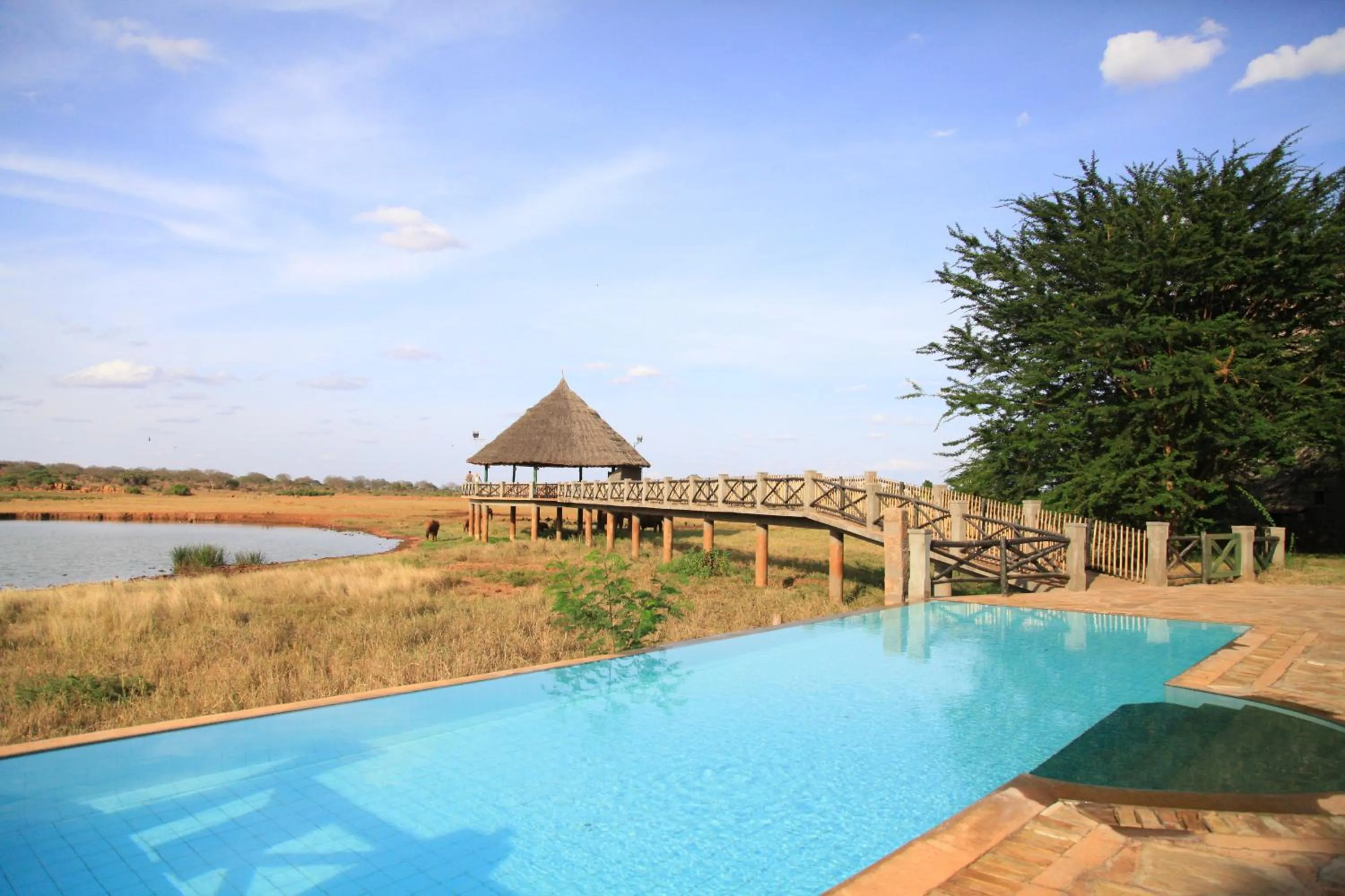 Swimming Pool in Voi Wildlife Lodge