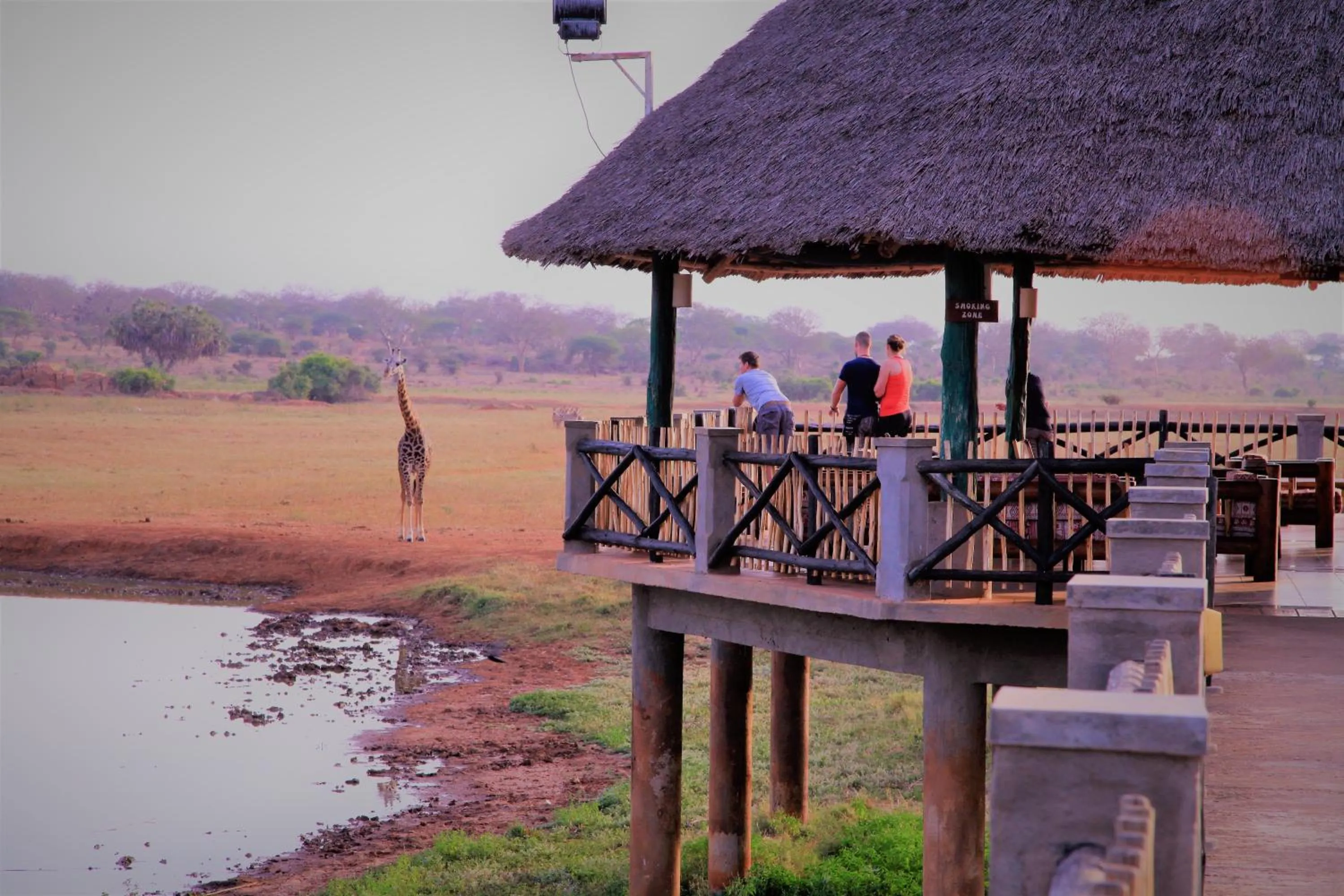 View (from property/room) in Voi Wildlife Lodge