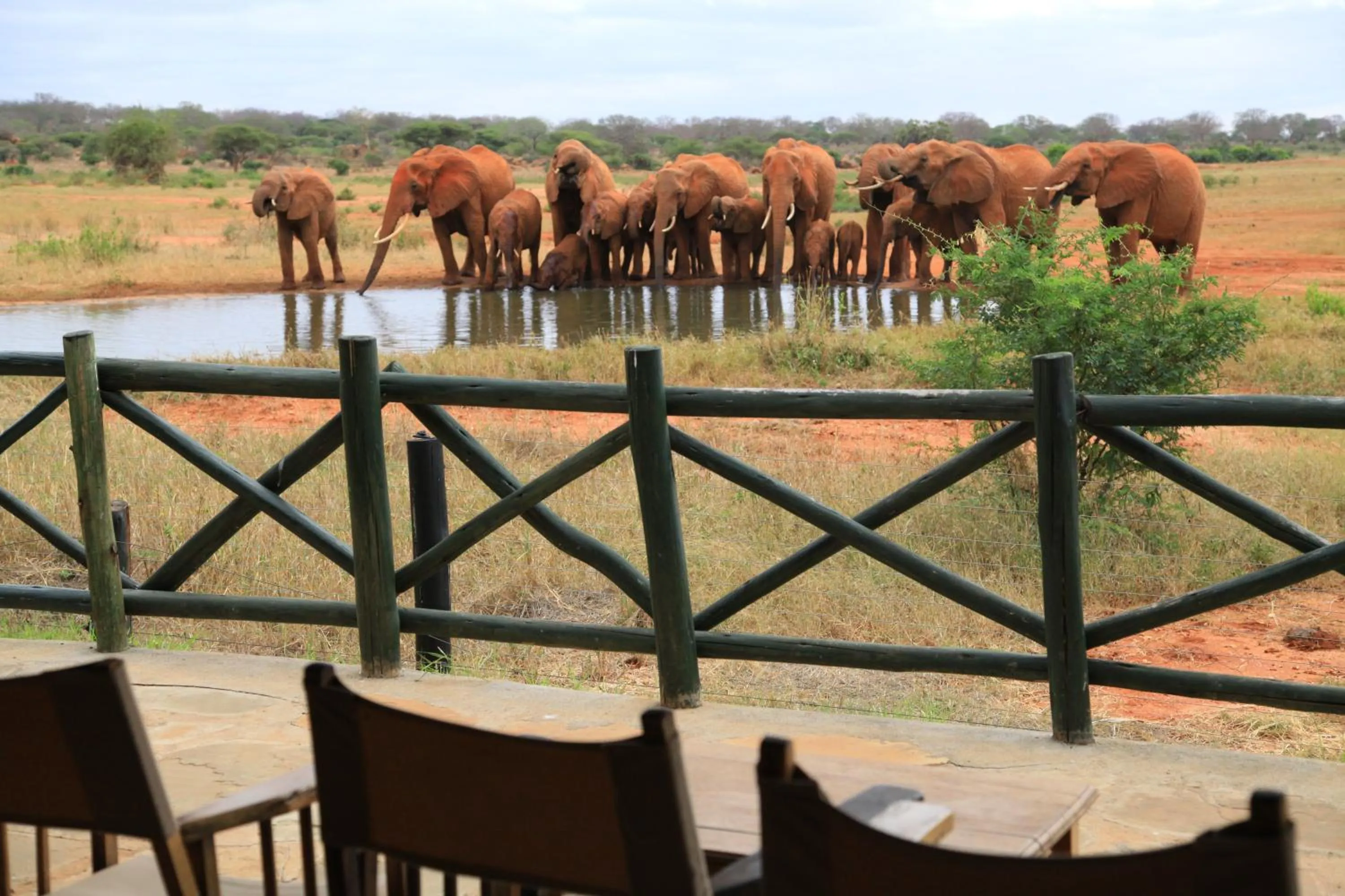 View (from property/room) in Voi Wildlife Lodge