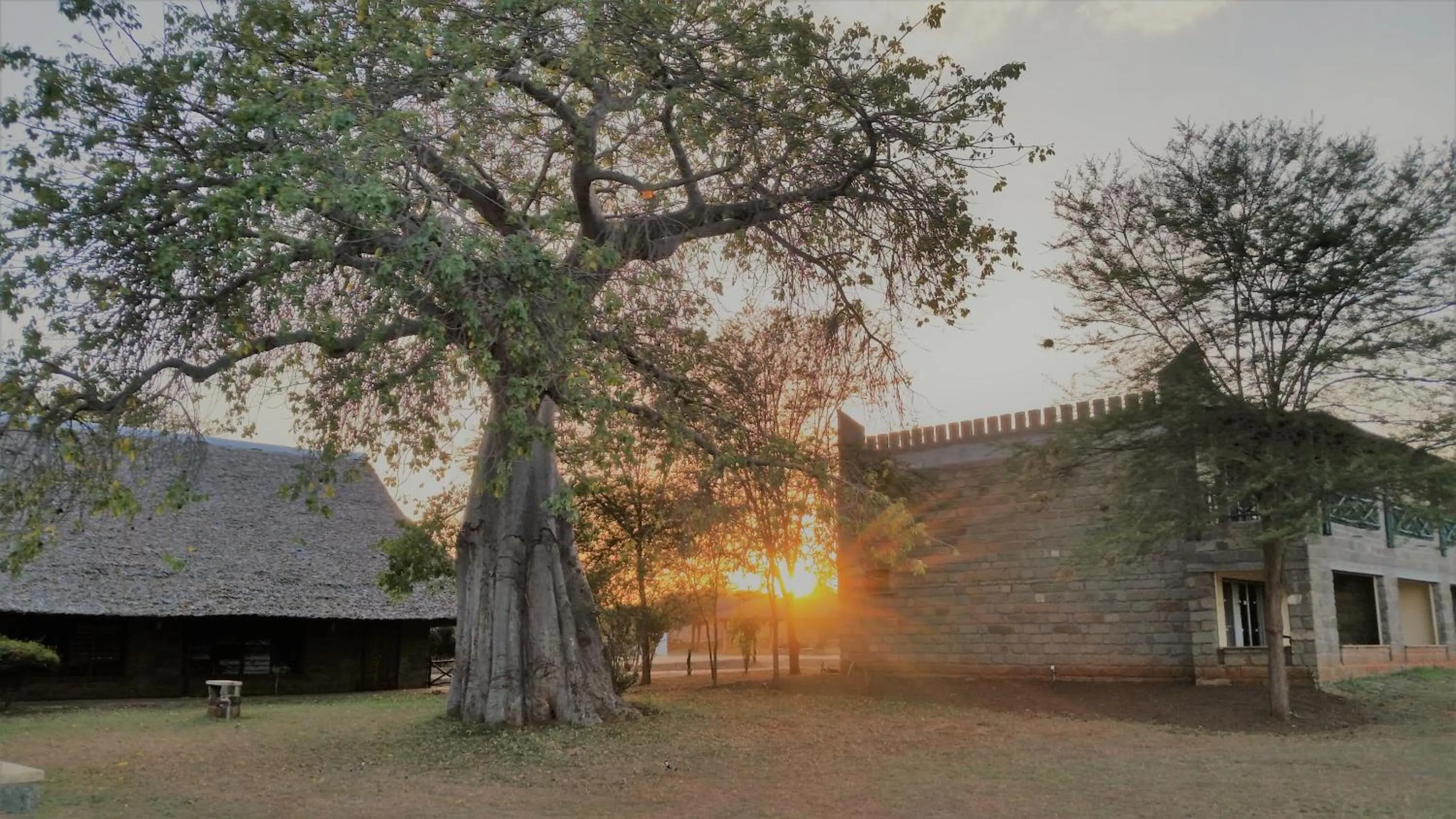 Property Building in Voi Wildlife Lodge