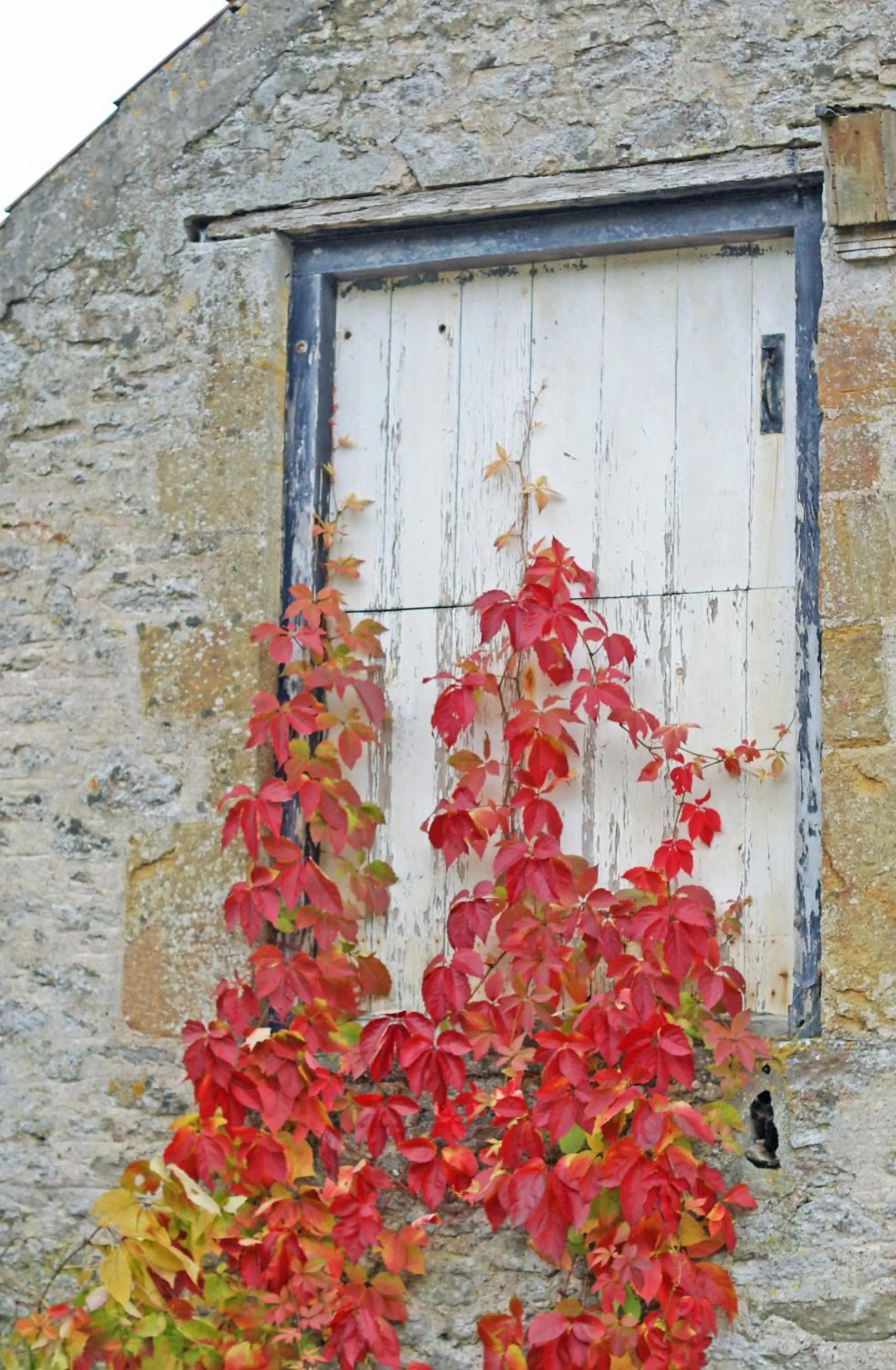 Property building in Westbury Cross House Bed & Breakfast