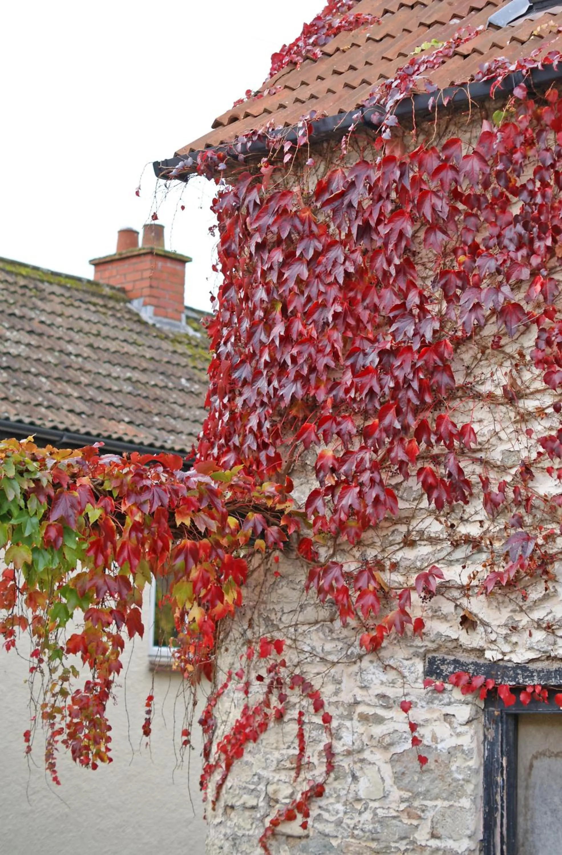 Property building in Westbury Cross House Bed & Breakfast