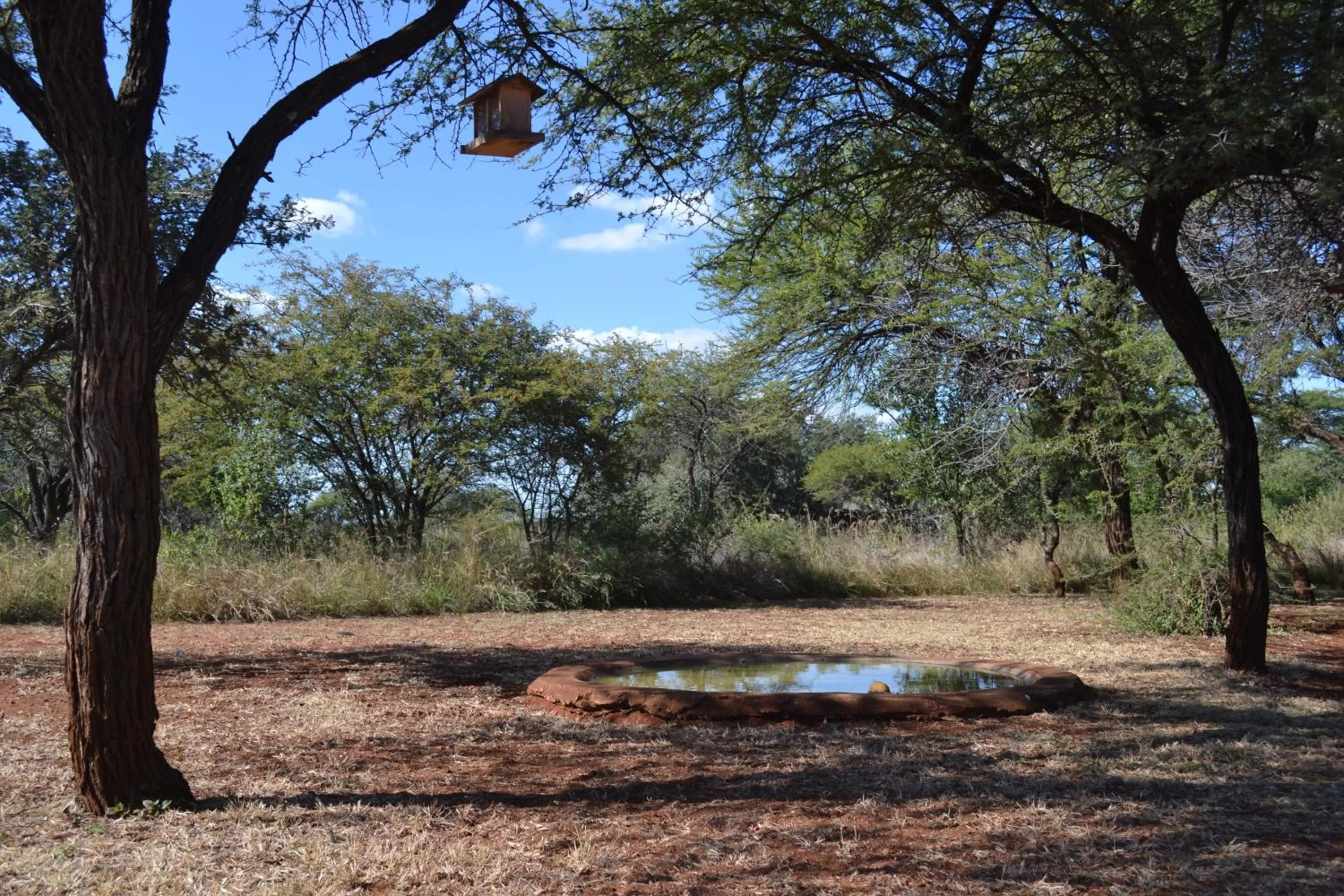 Garden in Makhato 84 Bush Lodge