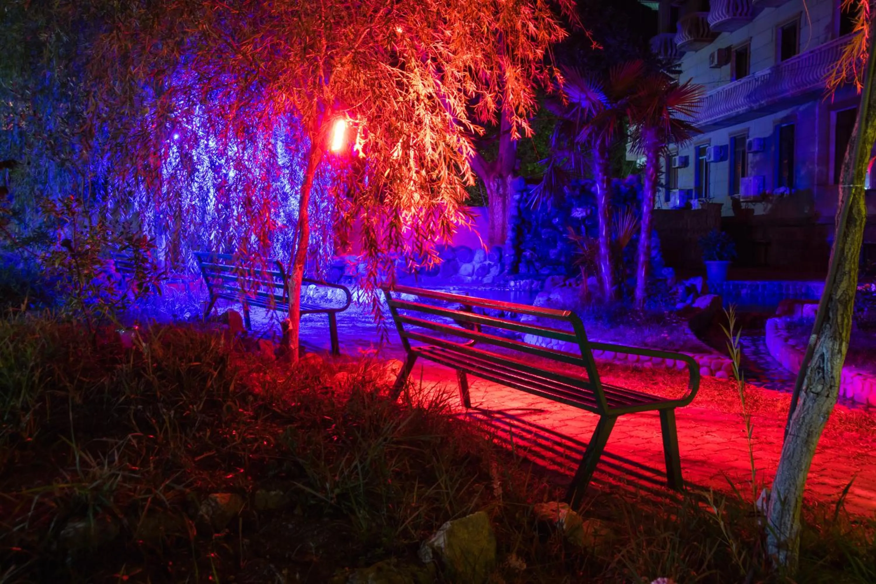 Garden in Sunrise Hotel