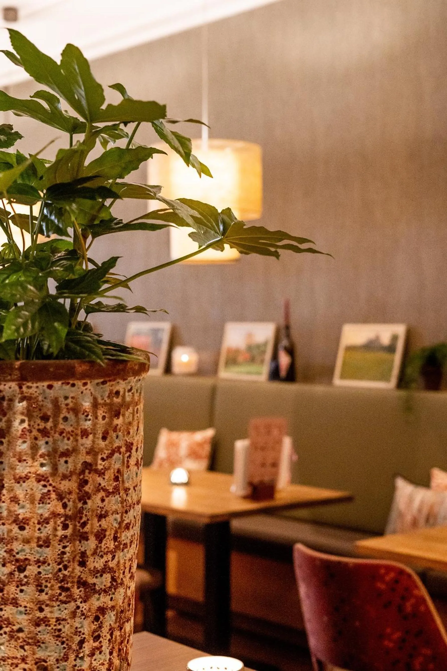 Restaurant/places to eat in Hotel Veere