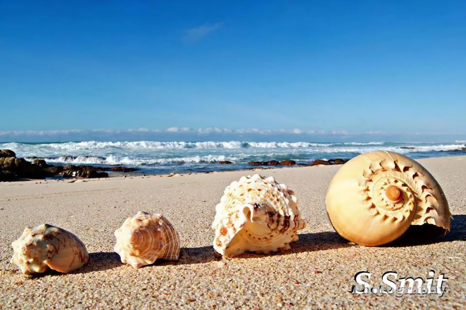 Beach in Mermaid Guest House