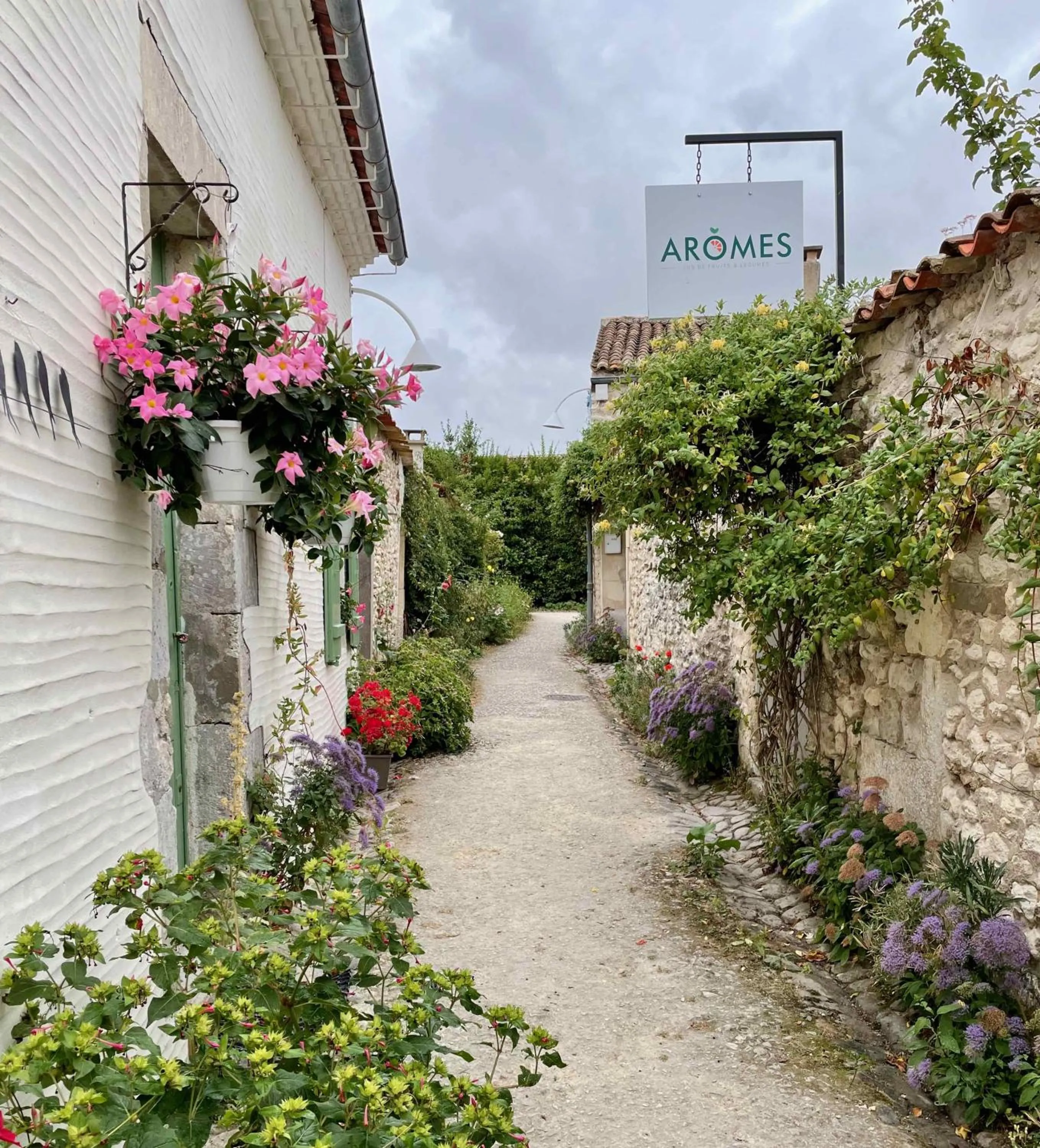 Other in Charming appartment in the heart of La Palmyre