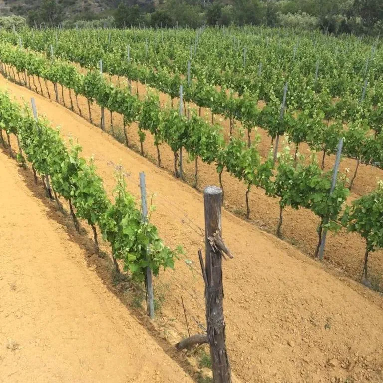 Property building in La Giara B&B