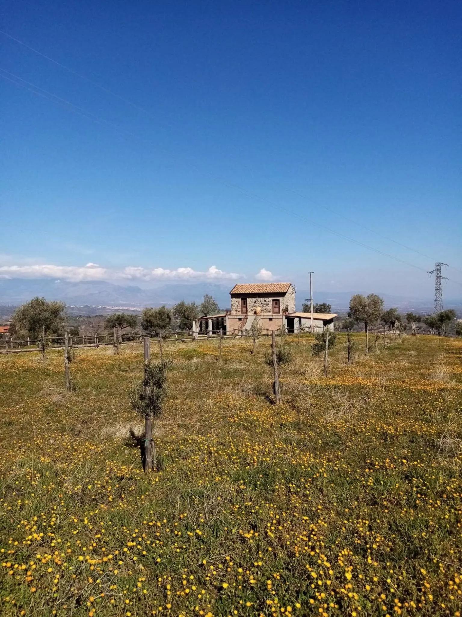 Property building in La Giara B&B