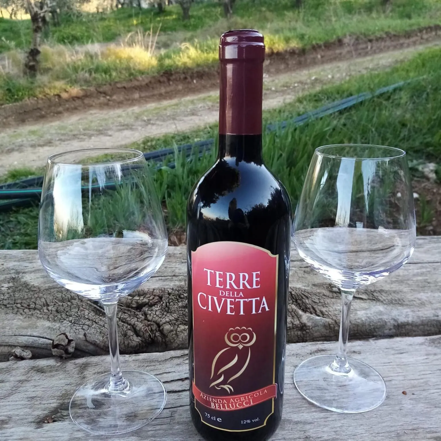 Alcoholic drinks in La Giara B&B