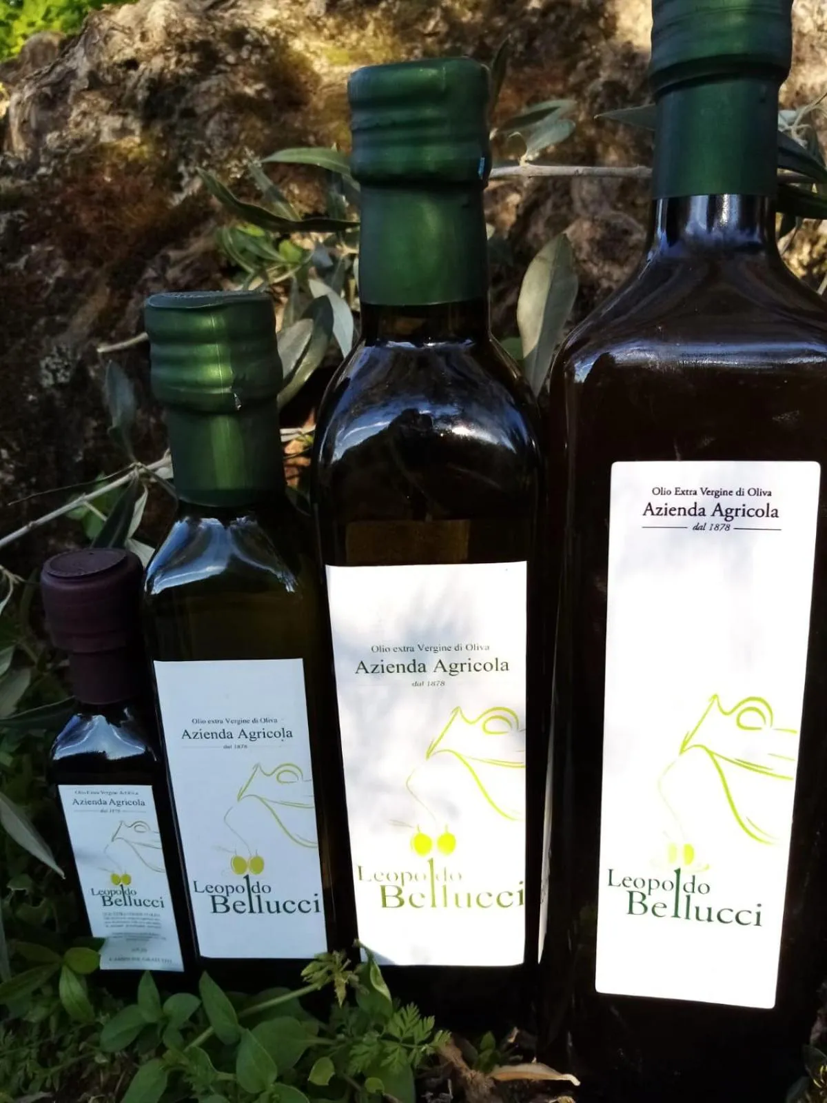 Restaurant/places to eat in La Giara B&B