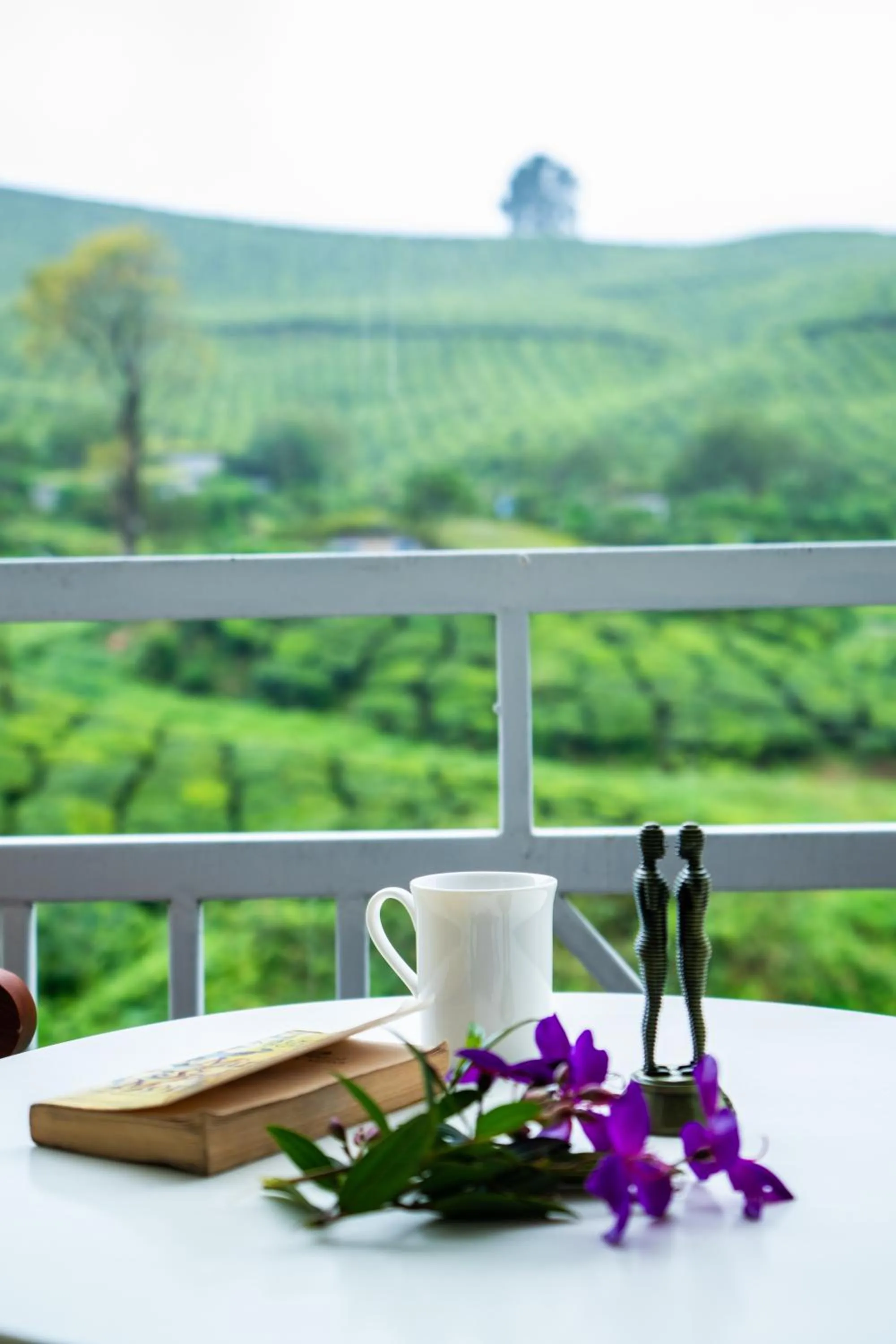 Balcony/Terrace in Hotel C7 Munnar